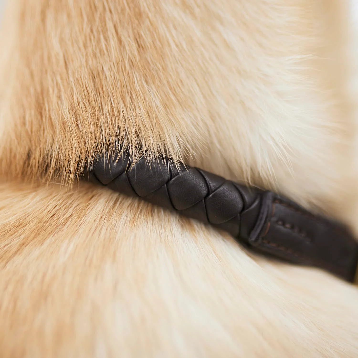 Leren halsband Twisted Earth (Bruin) - Image 6