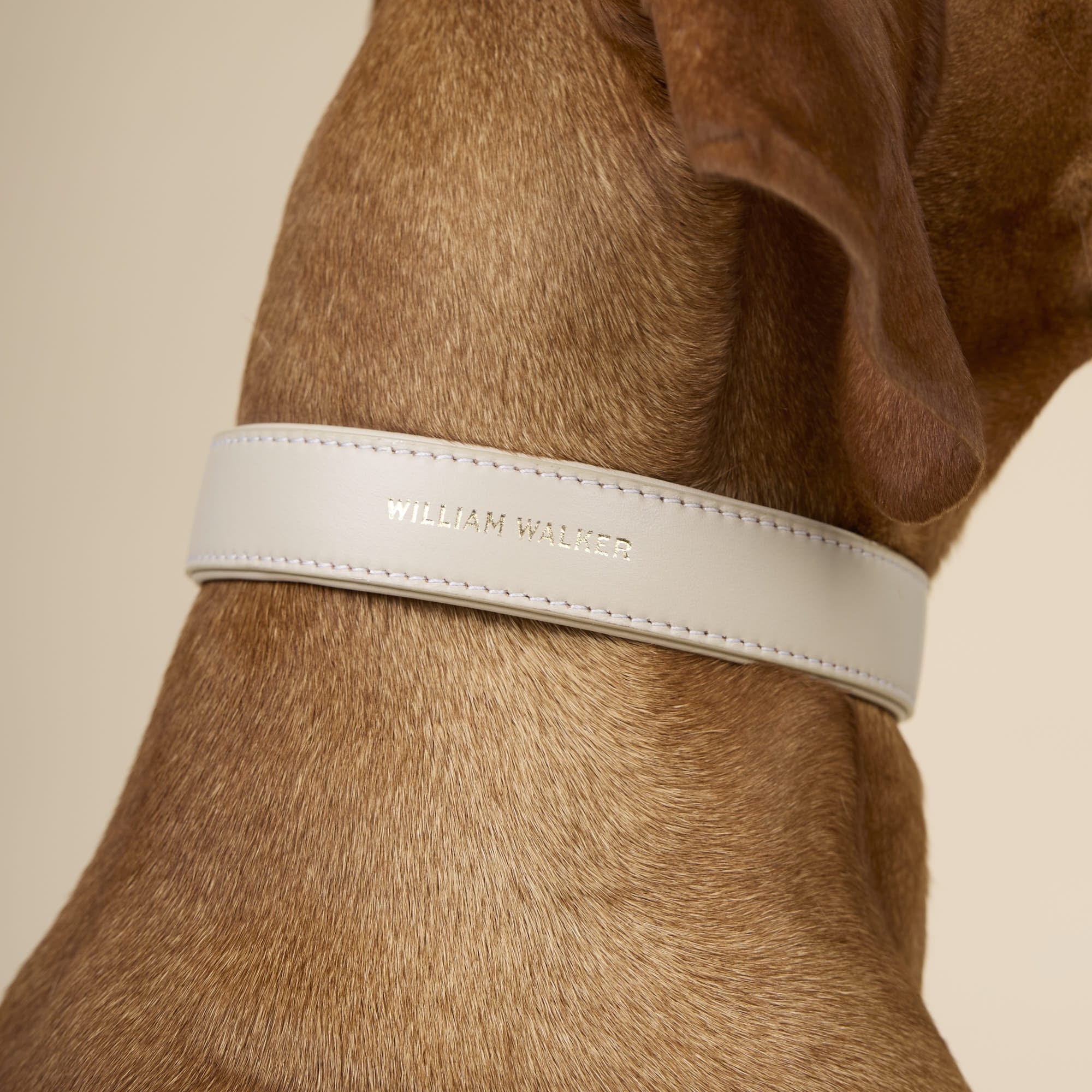 Glad leer halsband Almond (beige) - Image 5