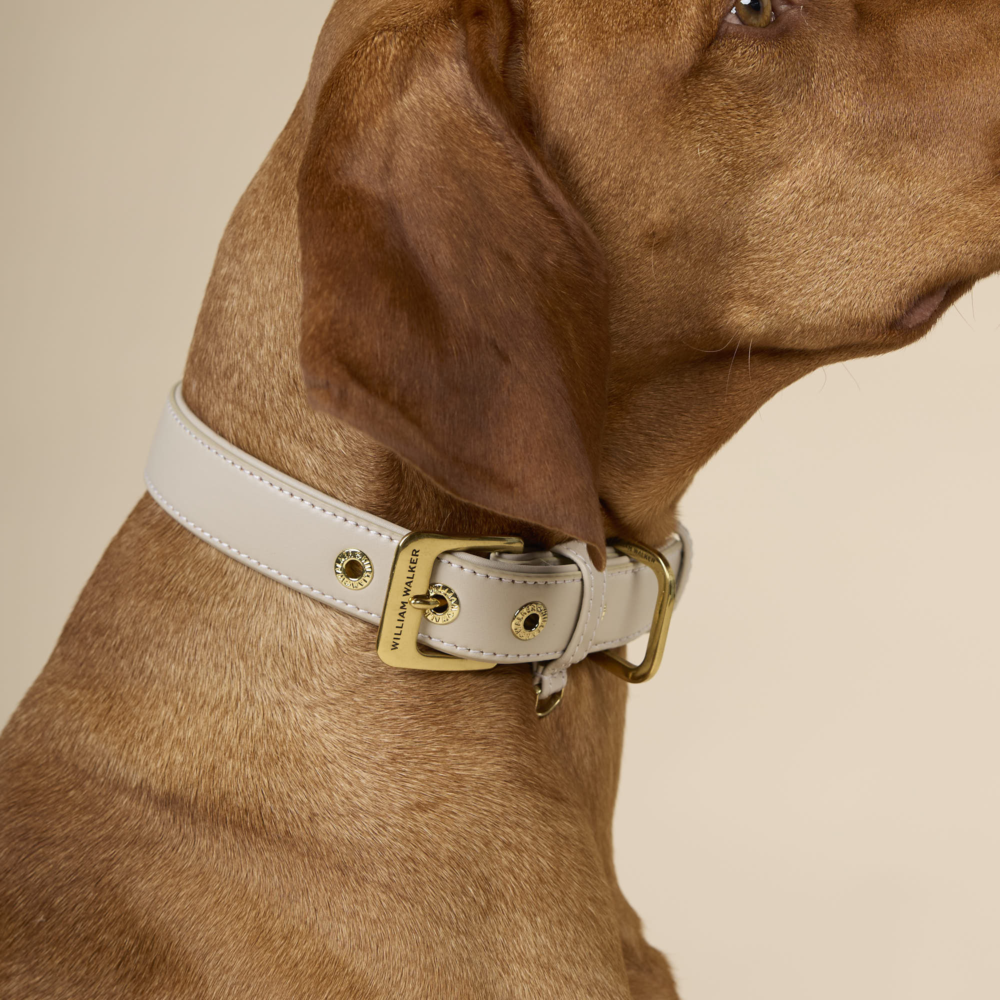 Glad leer halsband Almond (beige) - Image 6