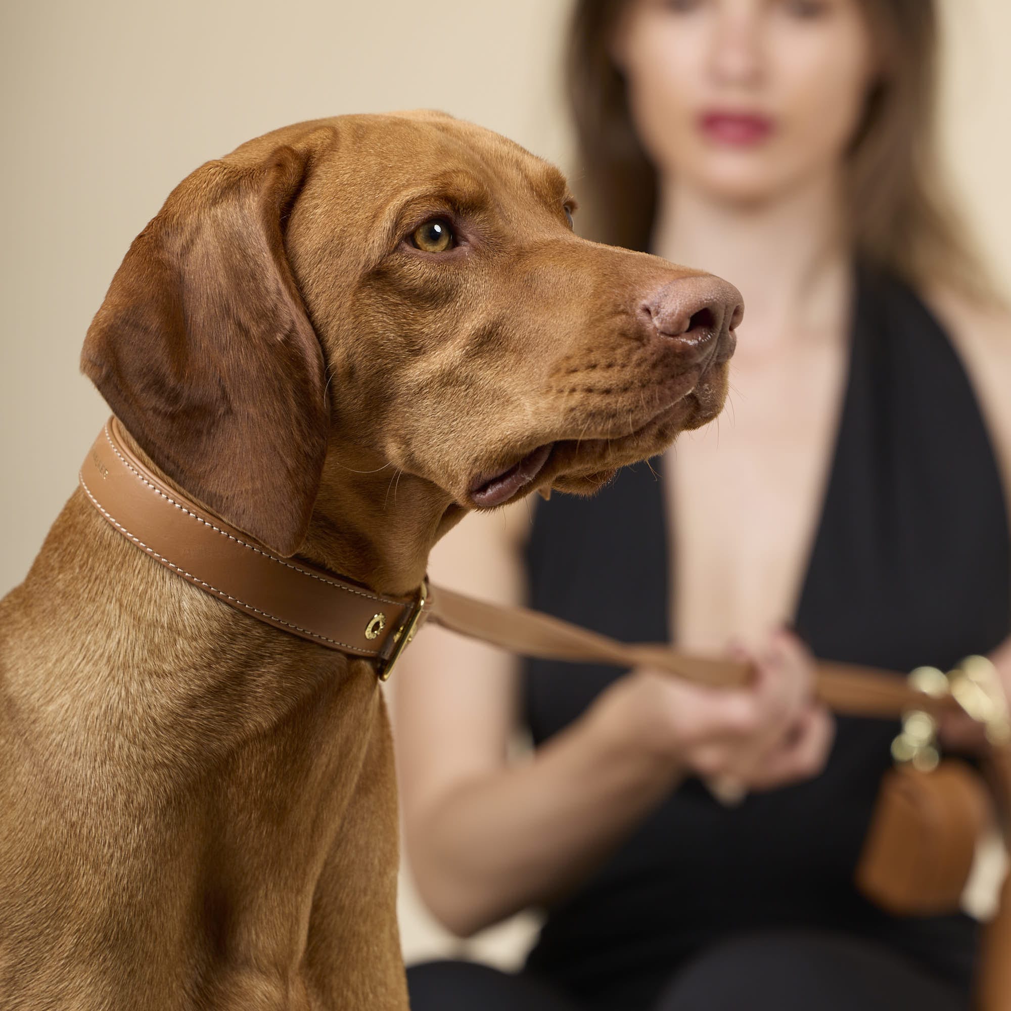 Glad leer halsband Caramel (Bruin) - Image 8