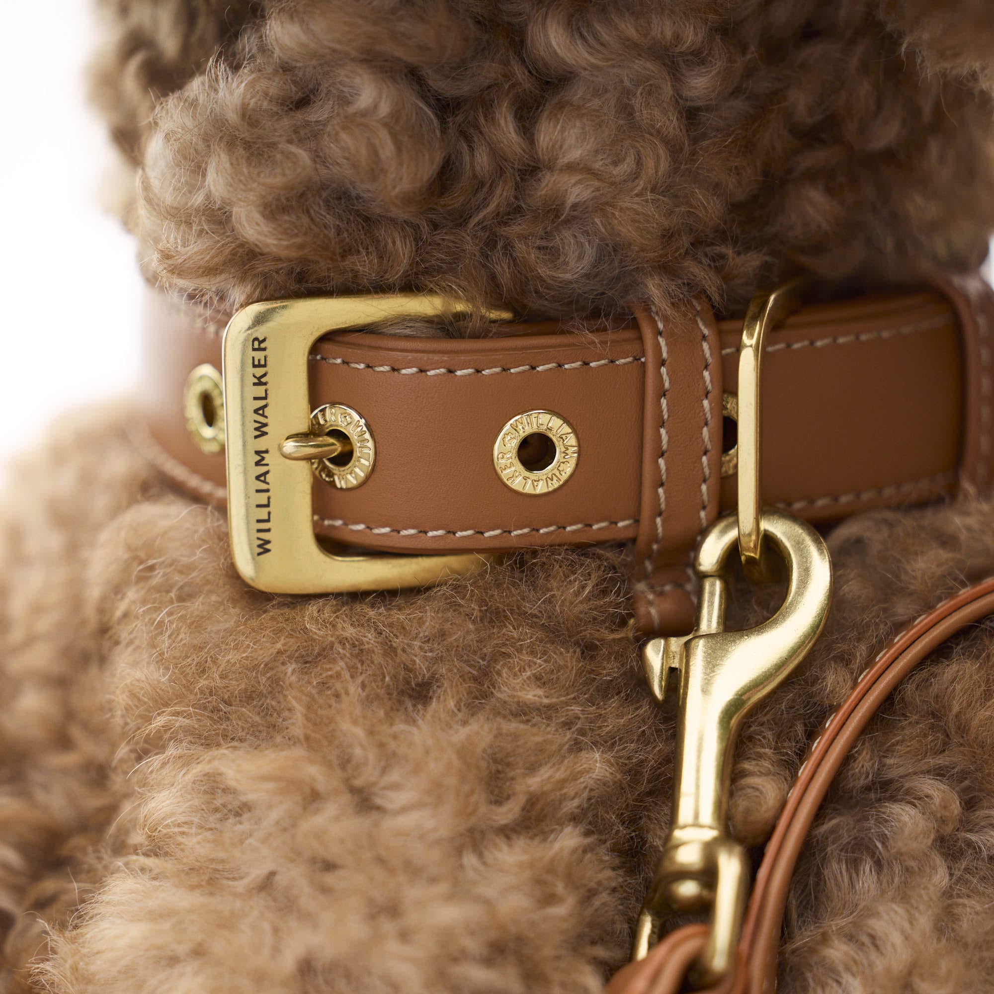 Glad leer halsband Caramel (Bruin) - Image 9