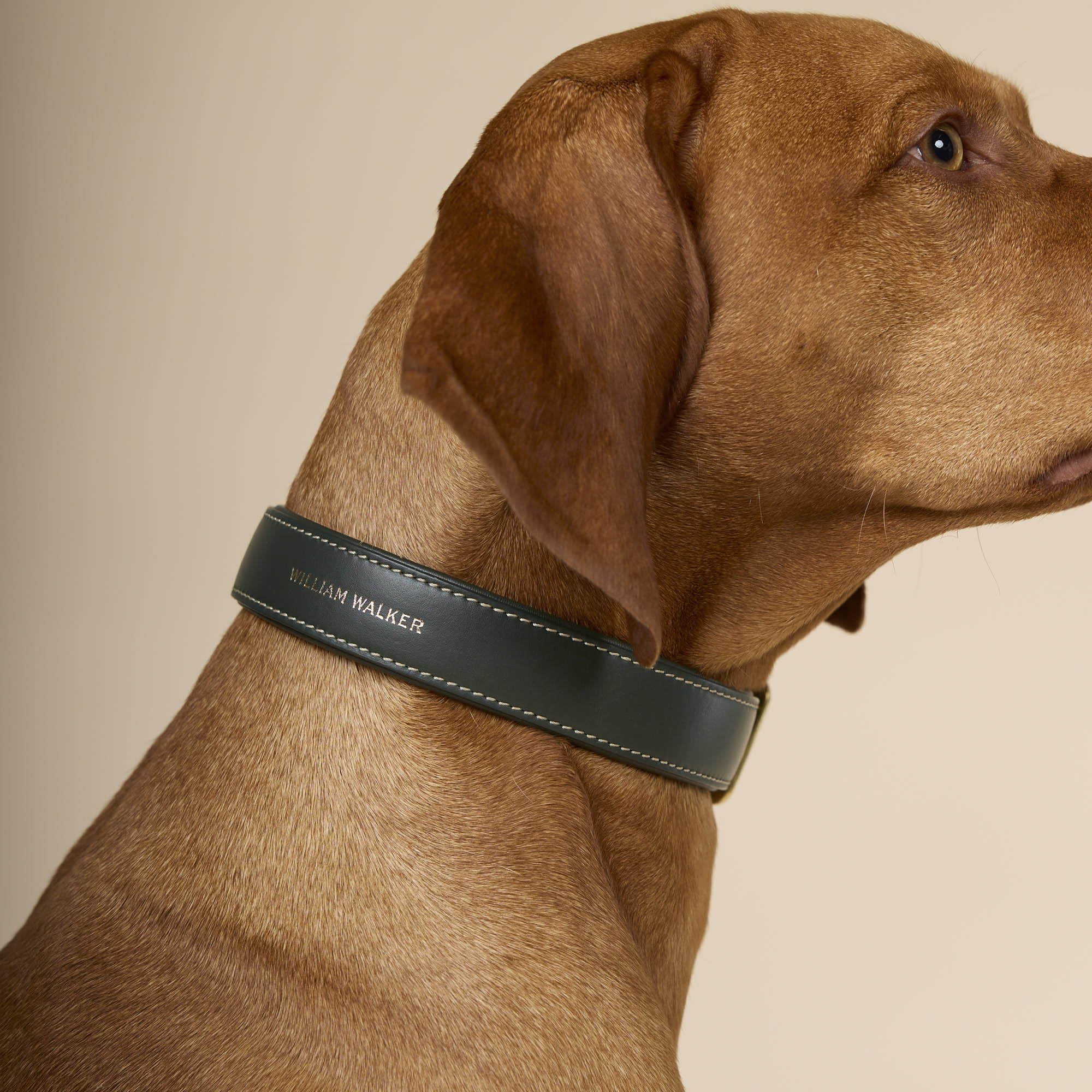 Glad leer halsband Forest (Groen) - Image 6