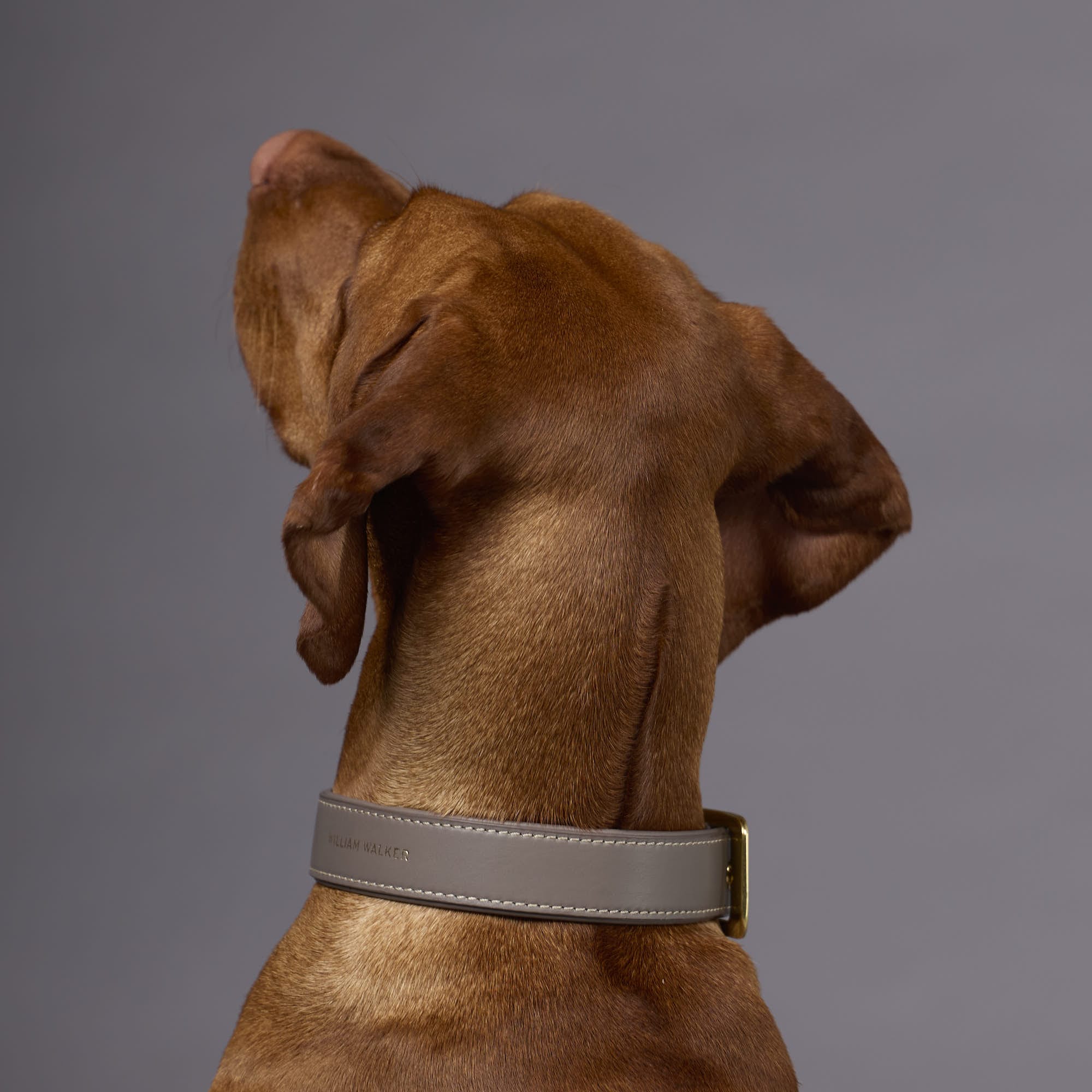 Glad leer halsband Pebble (Taupe) - Image 6