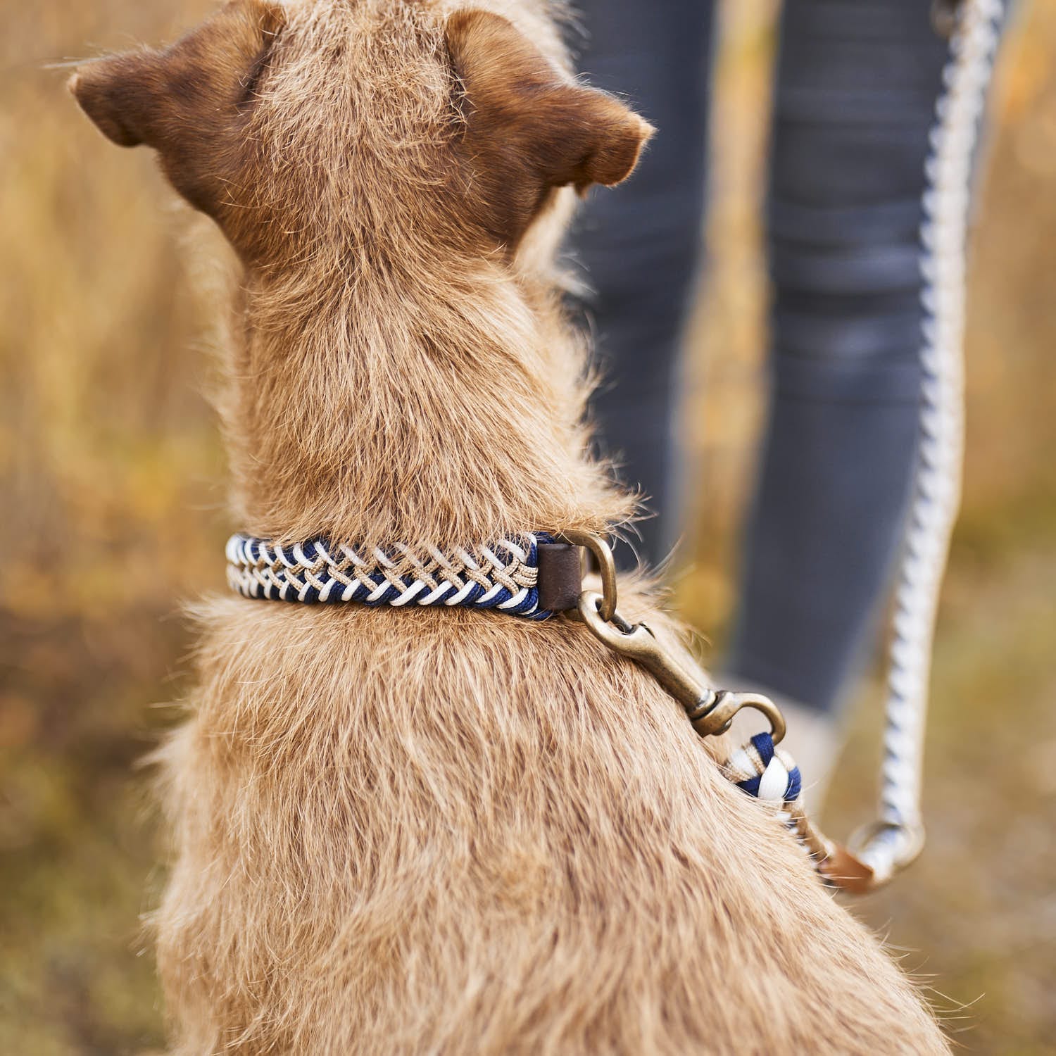 Paracord BioThane® halsband Hanseatic - Image 15