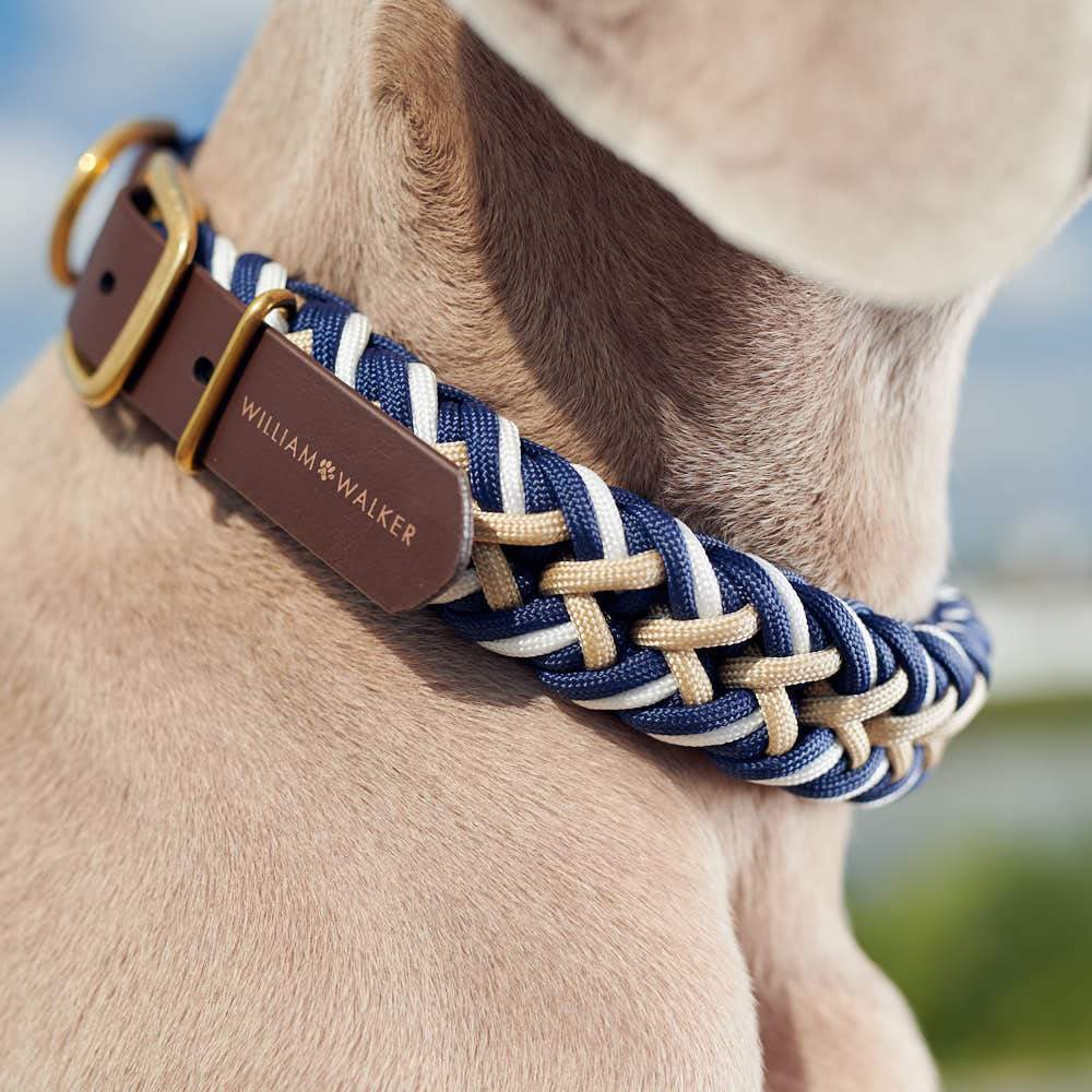 Paracord BioThane® halsband Hanseatic - Image 16