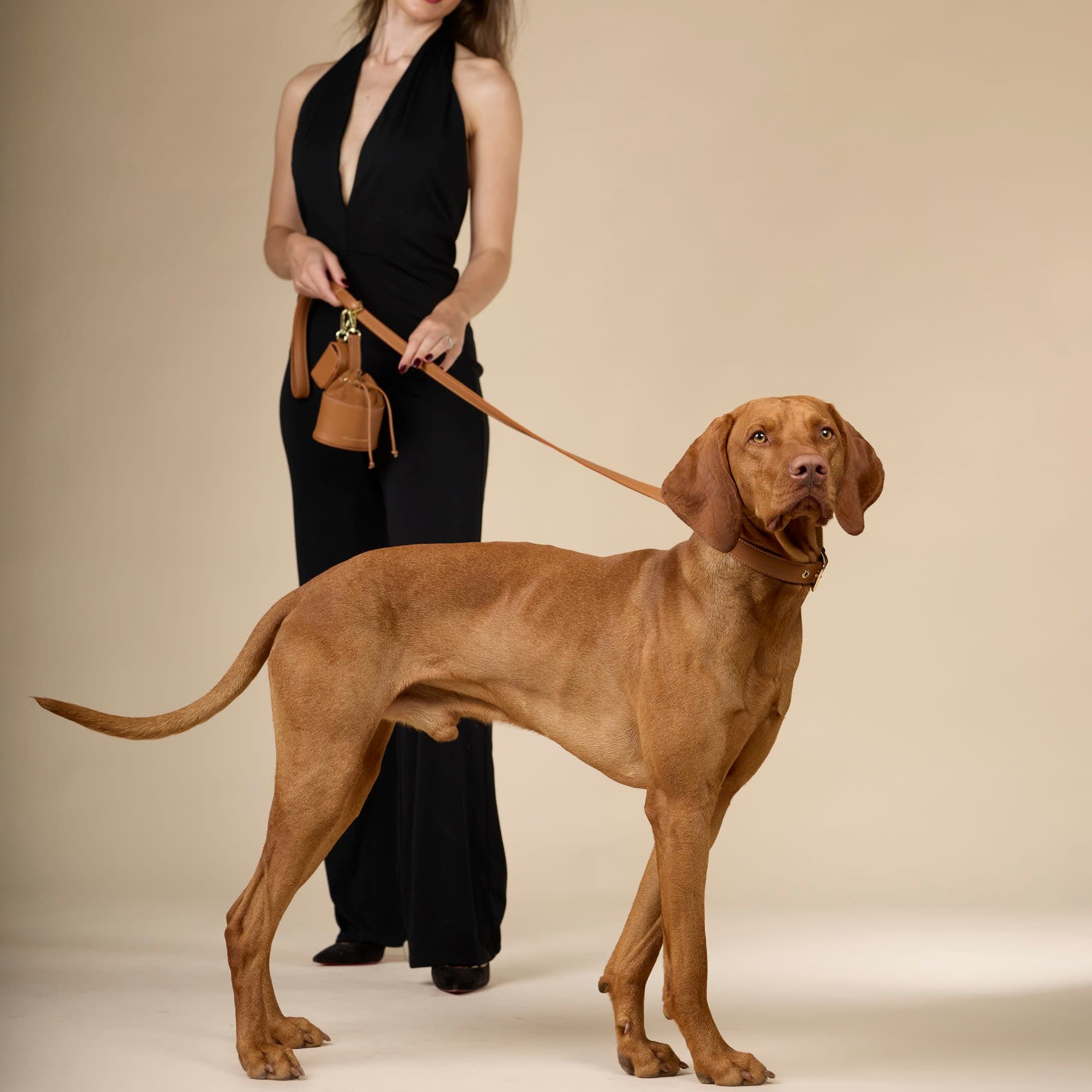 Hoogwaardig glad leer hondenriem Caramel (Bruin) - Image 6
