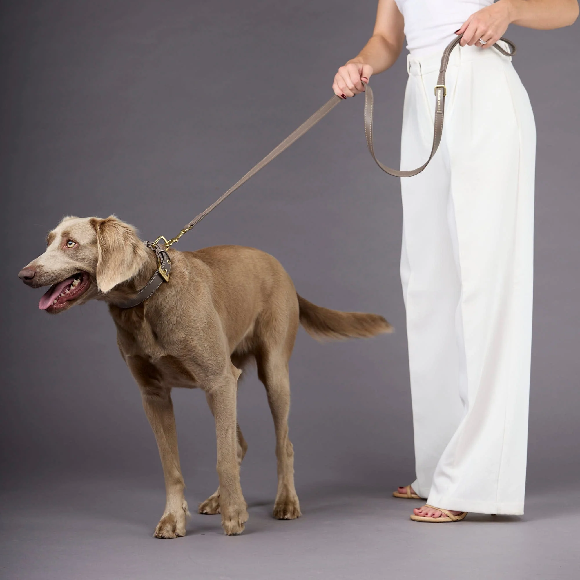 Glad leer halsband Pebble (Taupe) - Image 8
