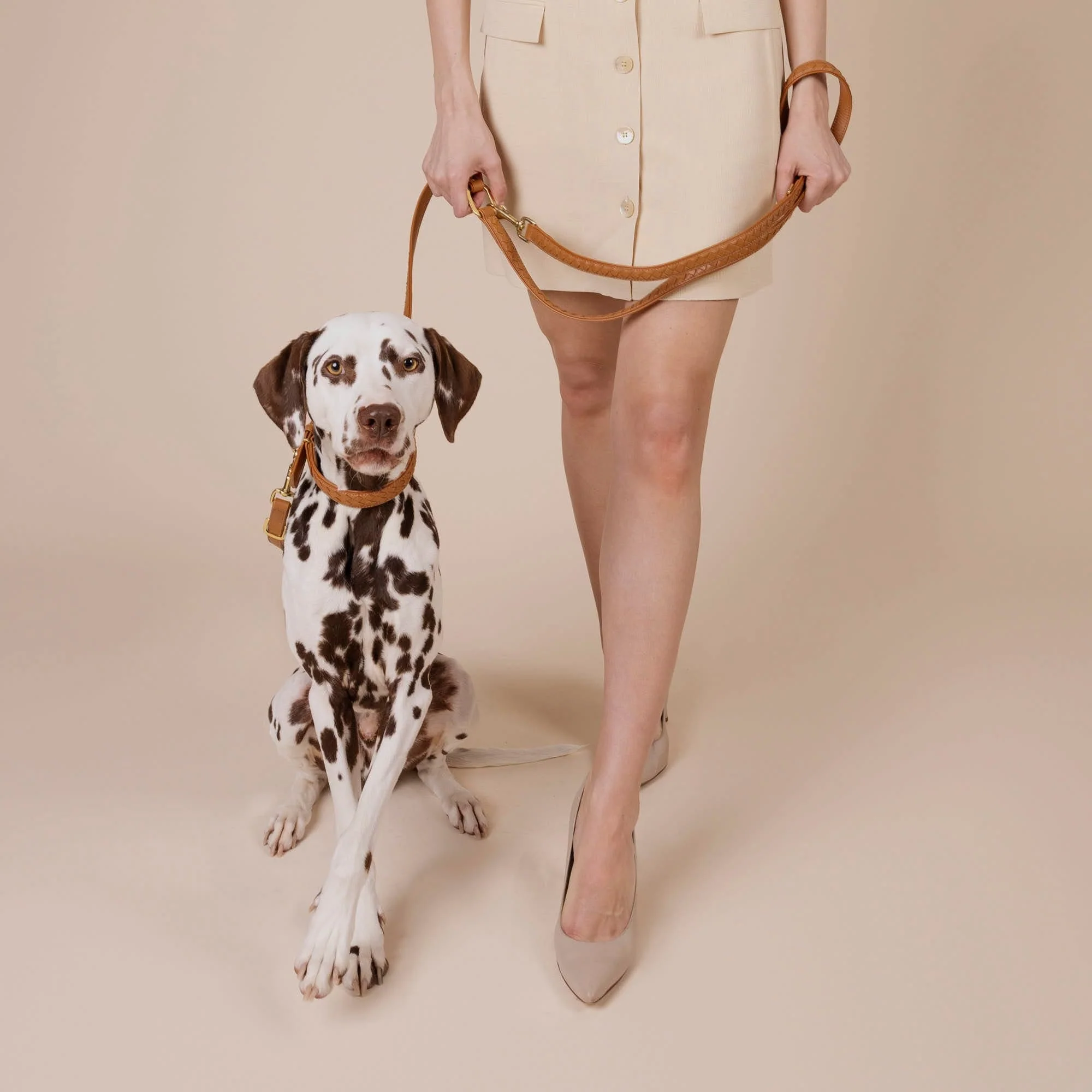 Hoogwaardig leer hondenriem Prestige Caramel (bruin) - Image 10