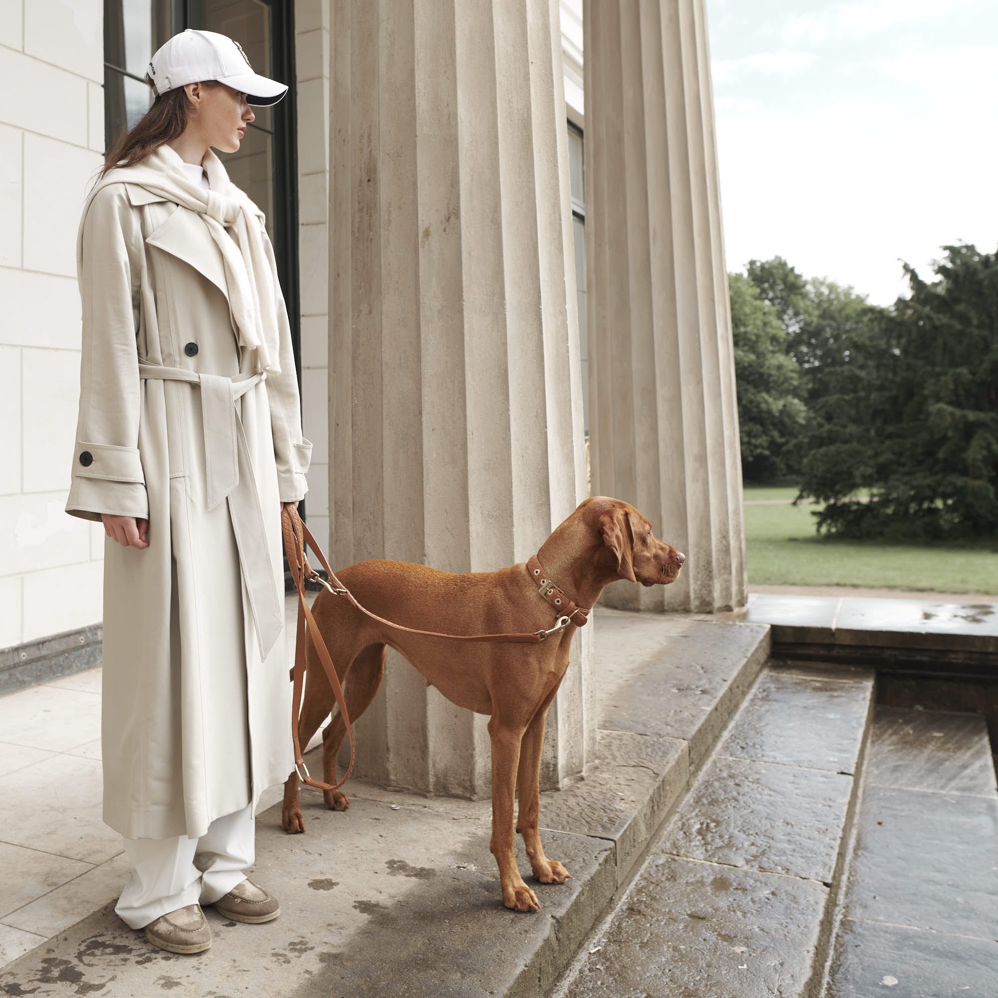 Hoogwaardig leer hondenriem Prestige Caramel (bruin) - Image 11