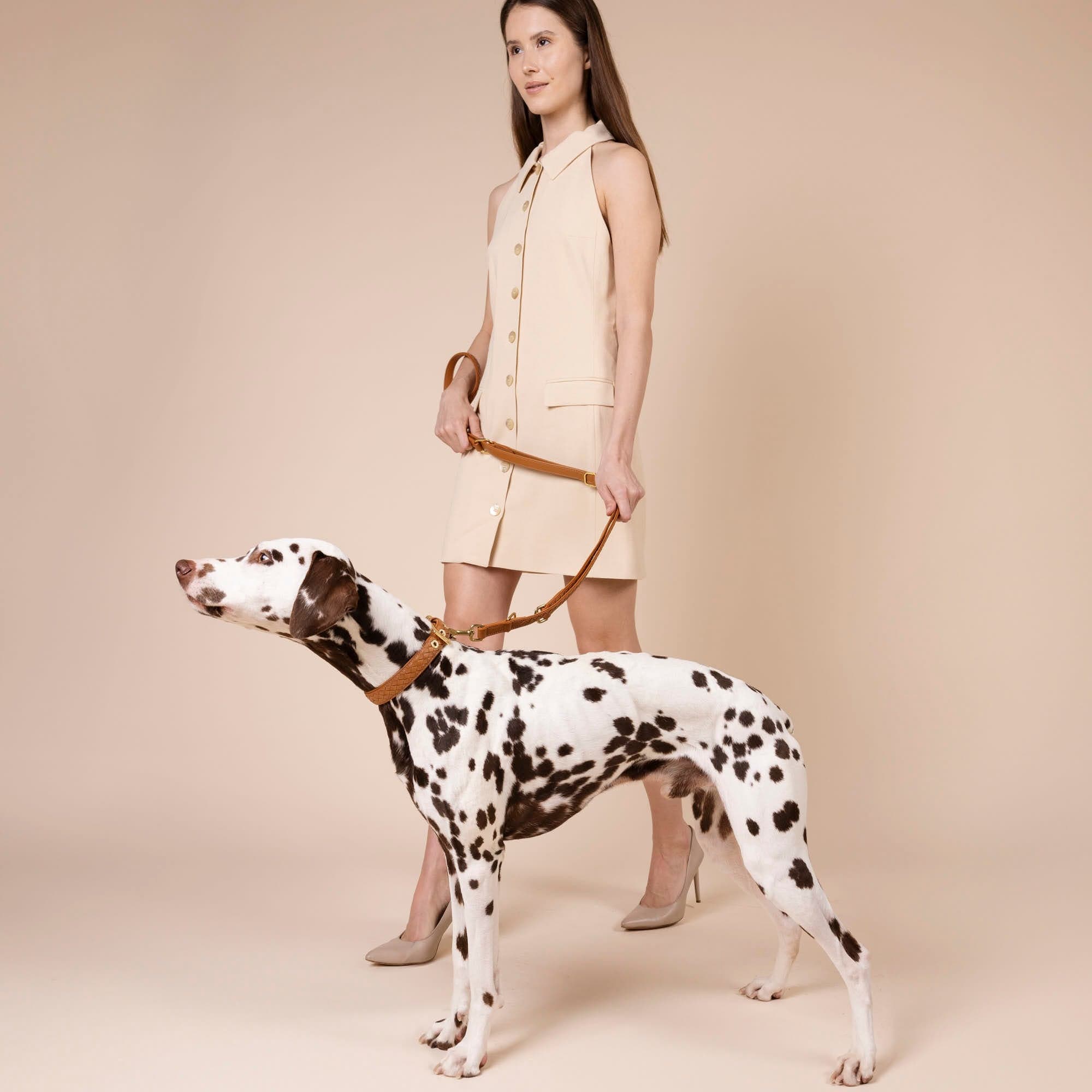 Hoogwaardig leer hondenriem Prestige Caramel (bruin) - Image 9