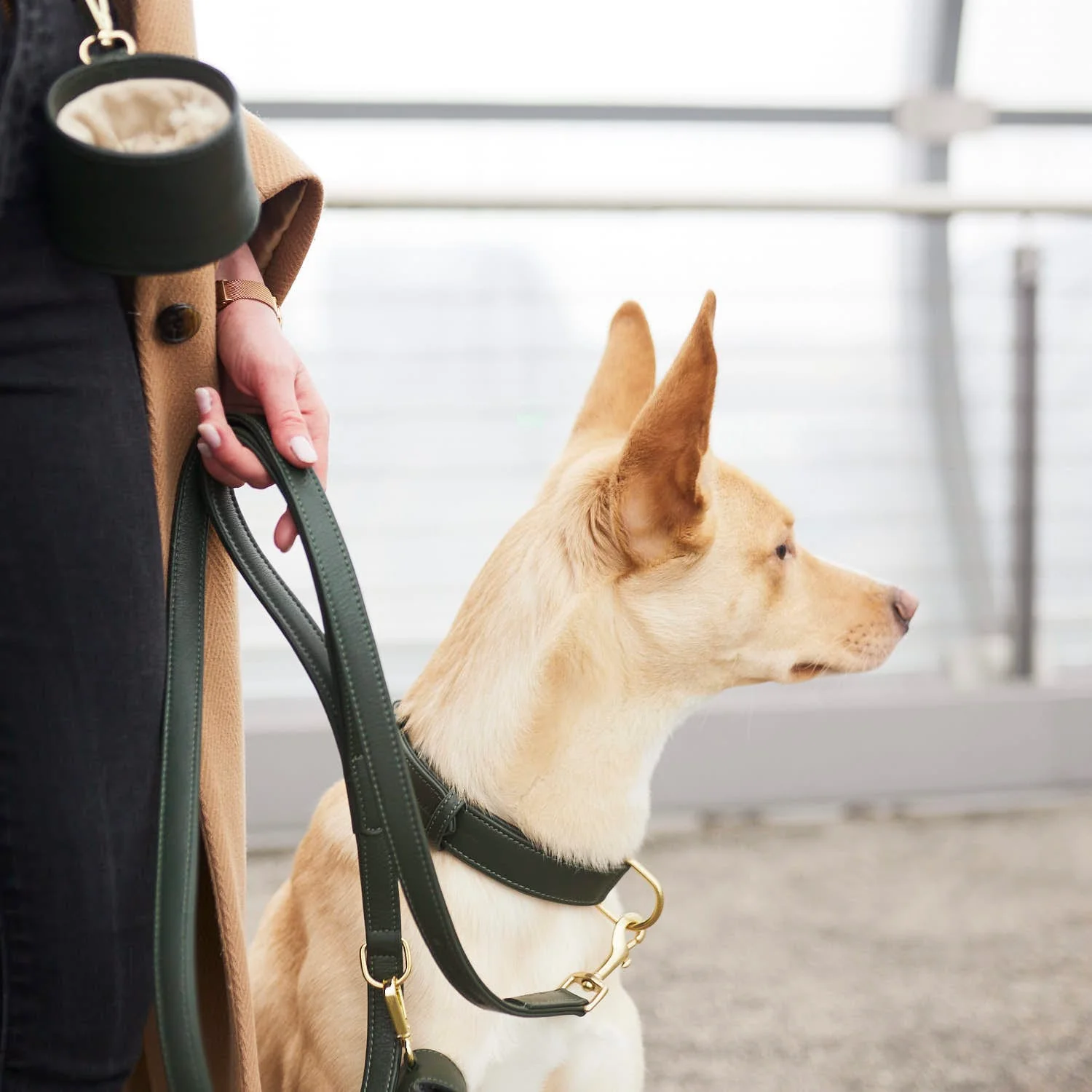 Leren halsband Dark Moss (bosgroen) - Image 17