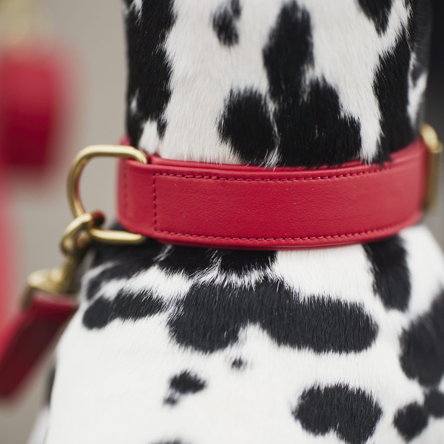 Leren halsband voor honden Chili (Rood) - Image 12