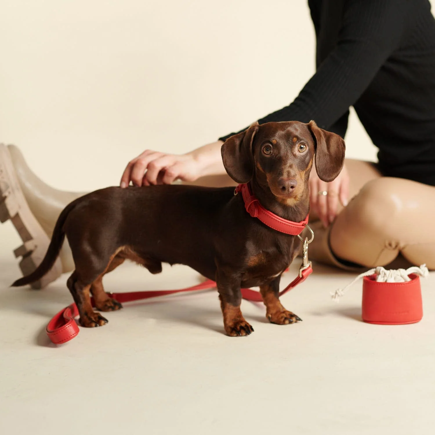 Leren halsband voor honden Chili (Rood) - Image 15