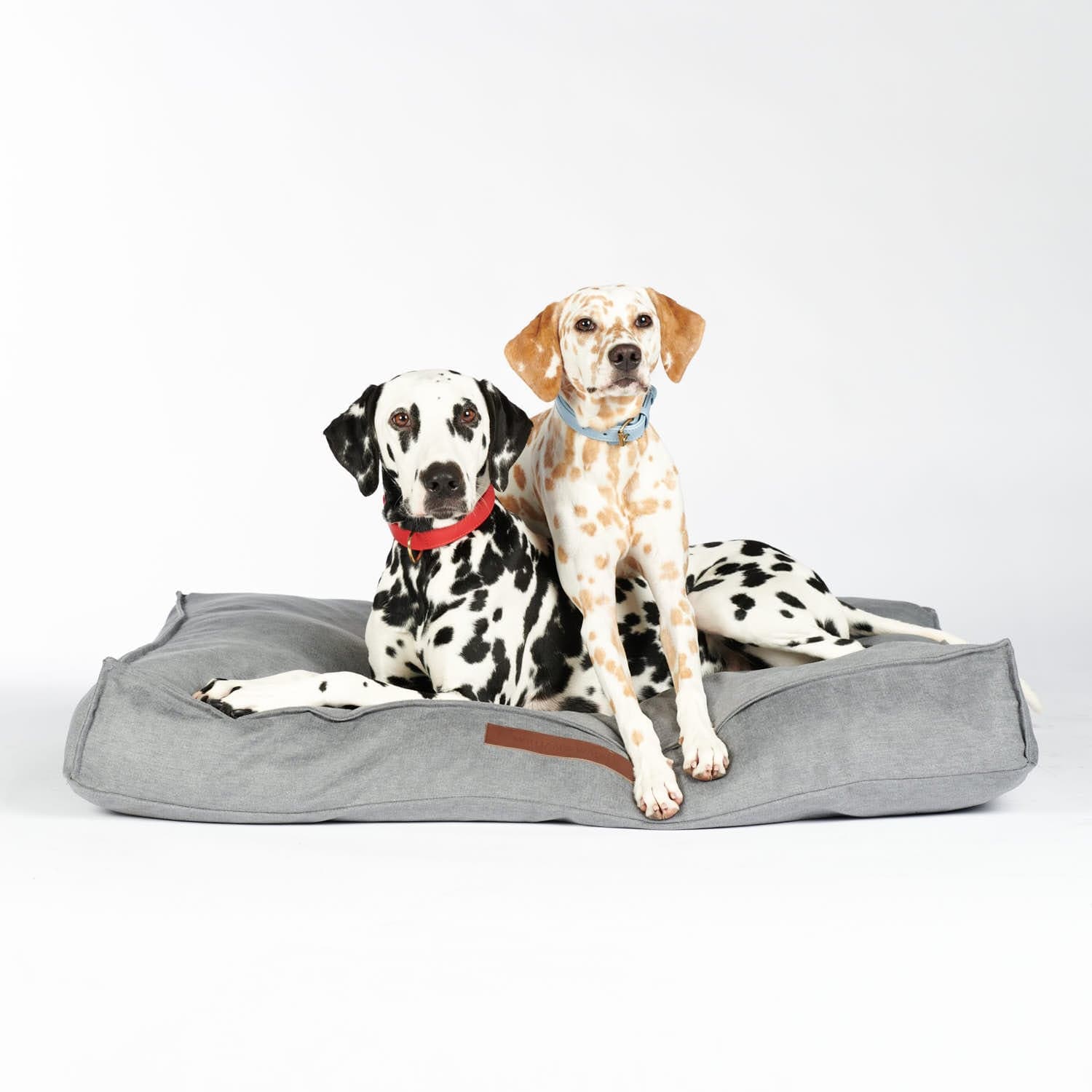 Leren halsband voor honden Chili (Rood) - Image 24
