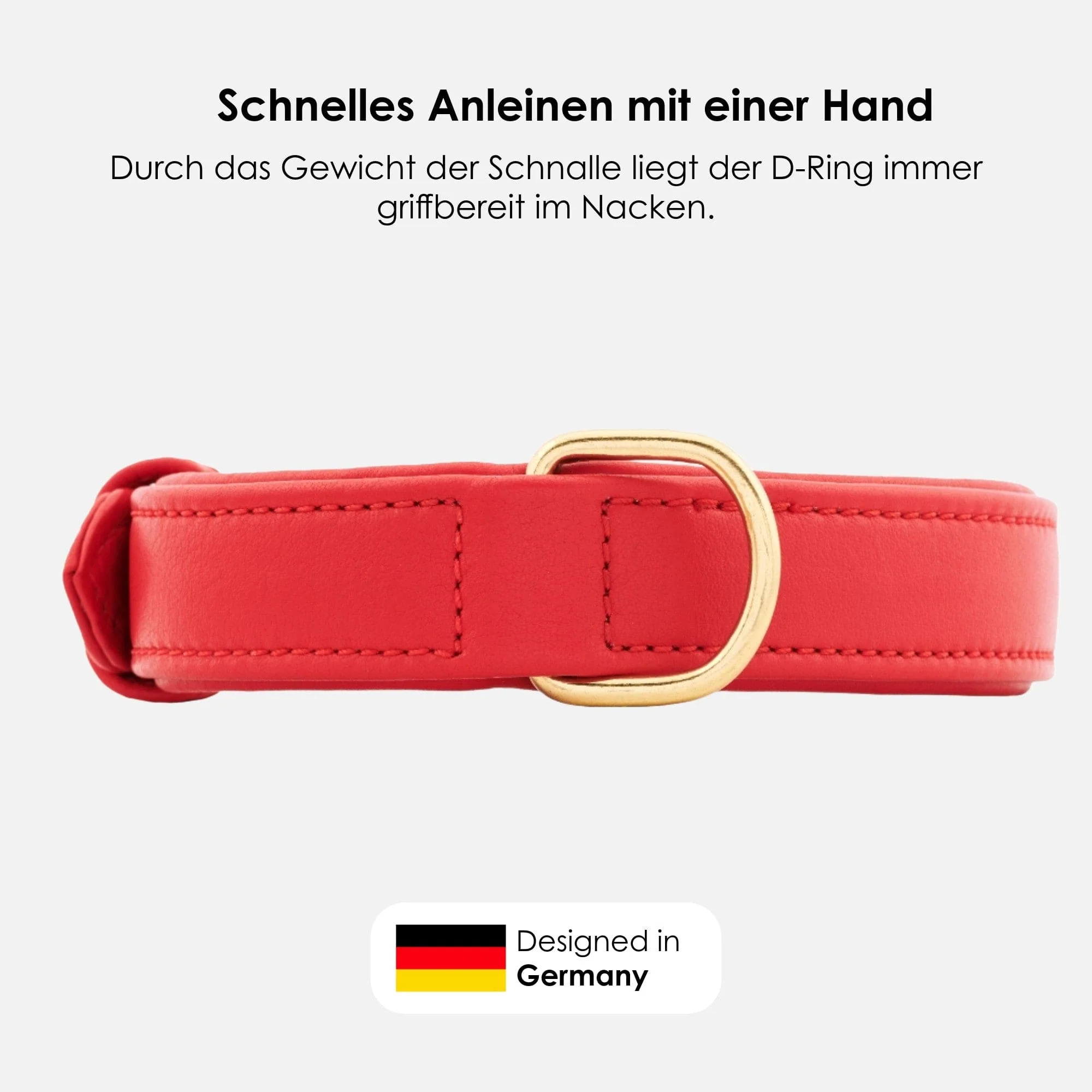 Leren halsband voor honden Chili (Rood) - Image 4