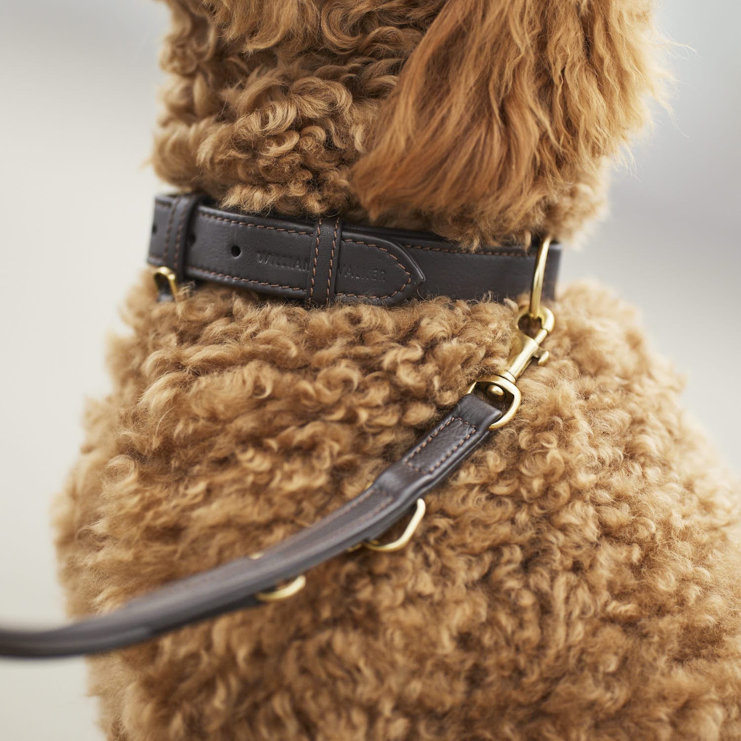 Leren halsband Earth (Bruin) - Image 13