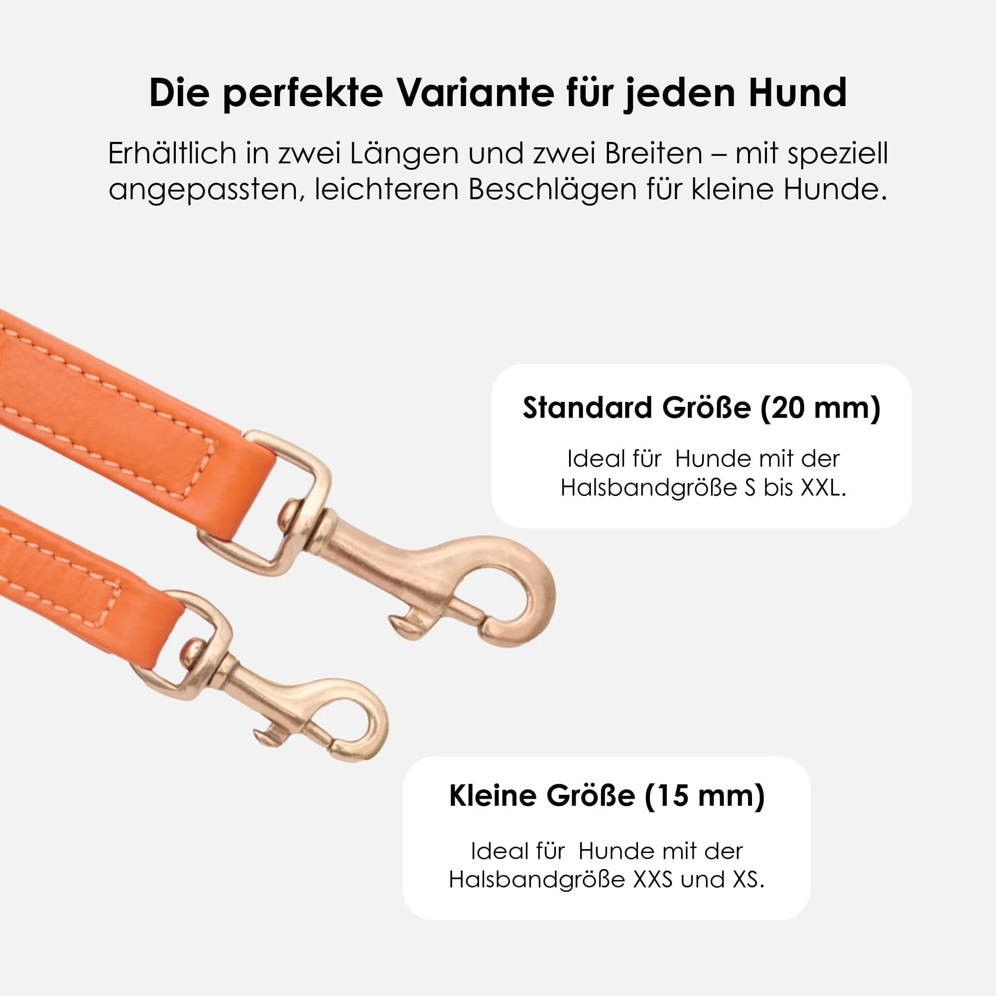 Hoogwaardig Leer Hondenriem Amber (Oranje) - Image 6