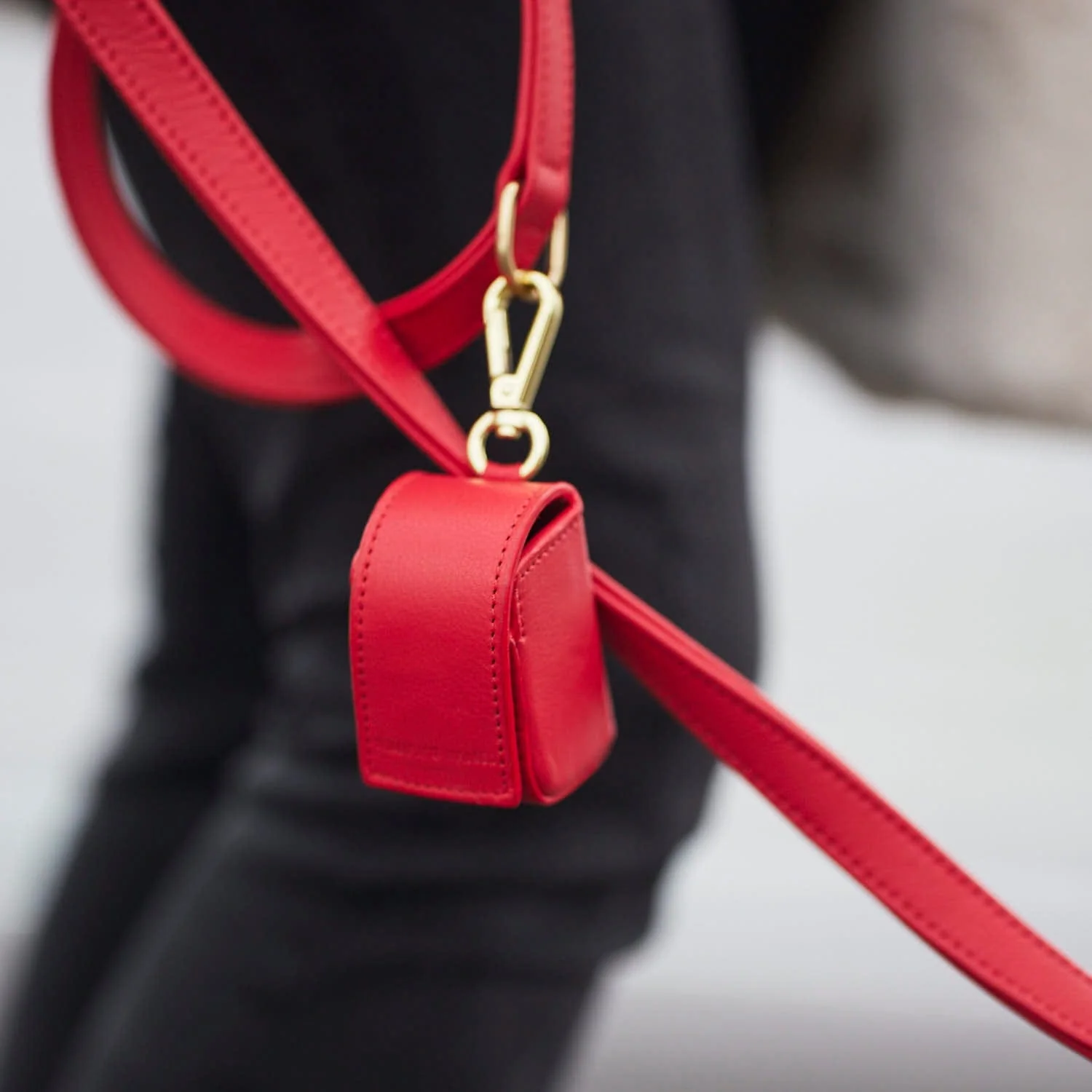 Hoogwaardige Leren Hondenriem Chili (Rood) - Image 18