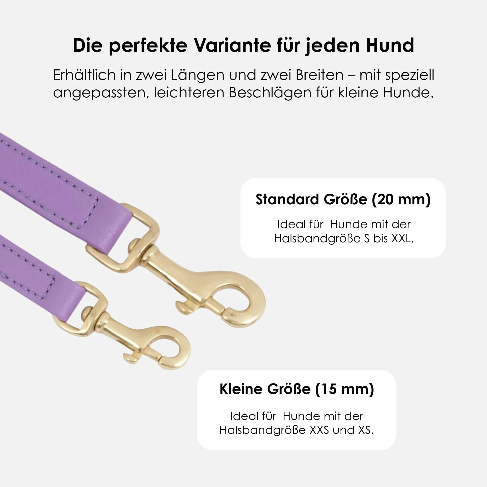Hoogwaardig Leren Hondenriem Lavender (Paars) - Image 6