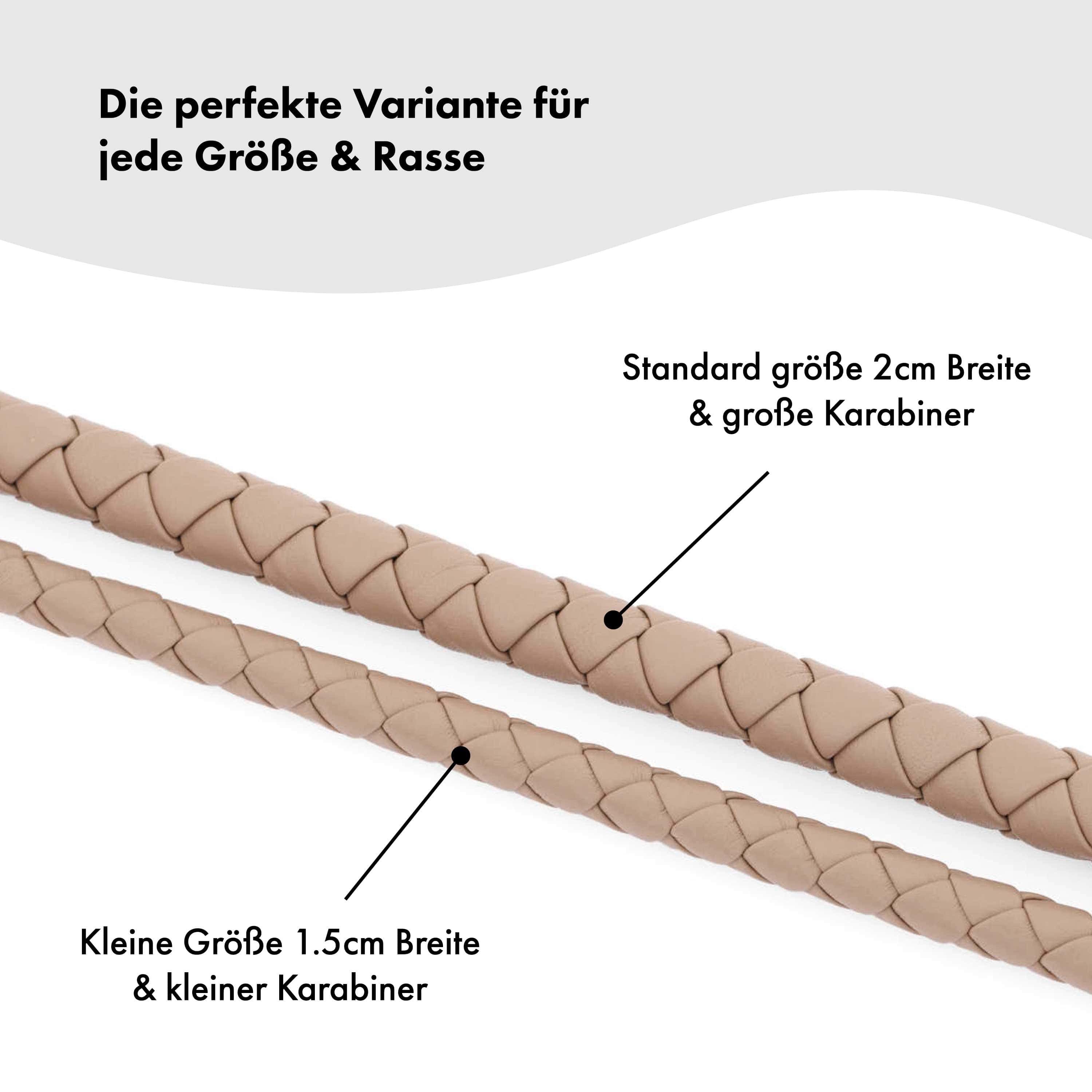 Hoogwaardig leer hondenriem Twisted Sand (Beige) - Image 3