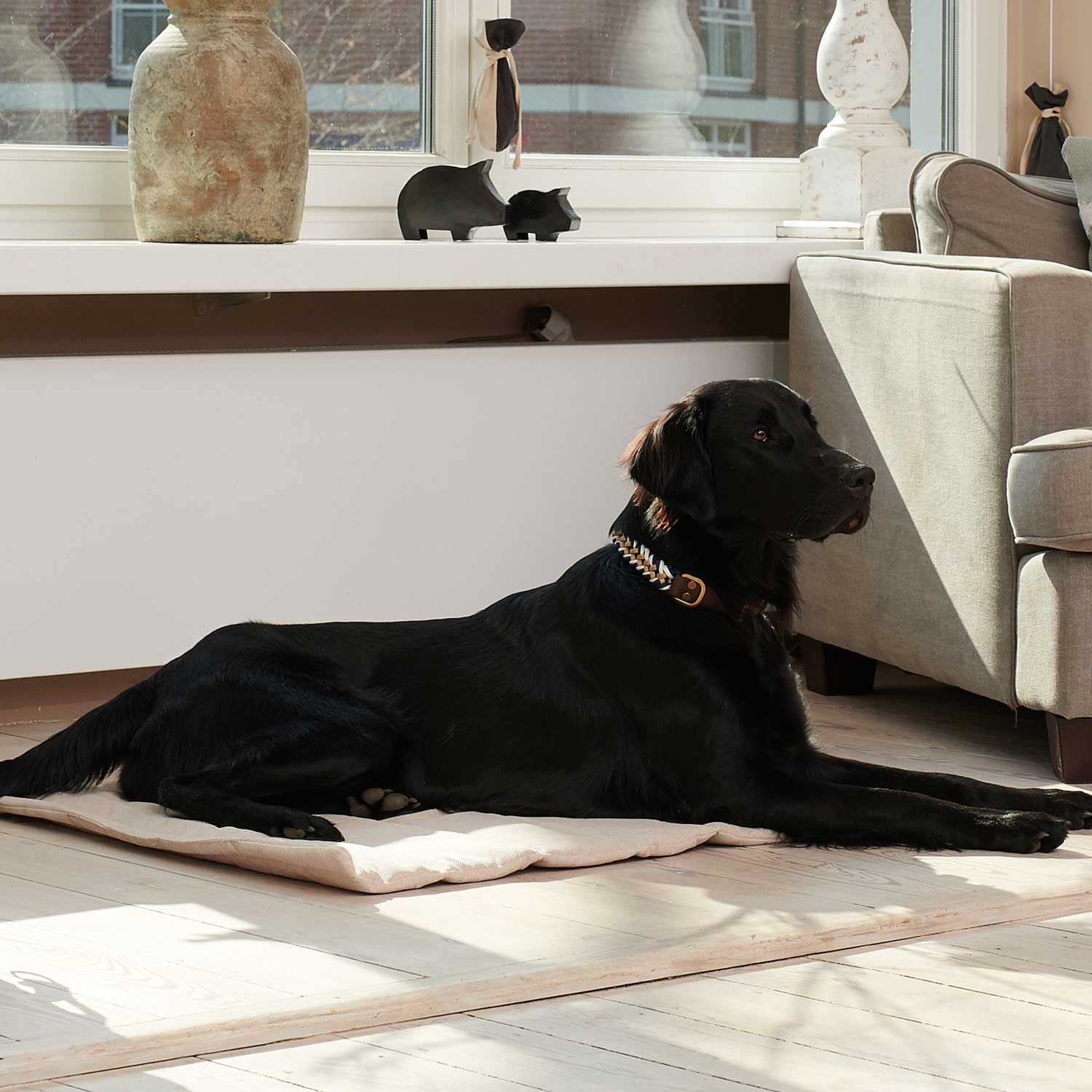 Reismat voor honden Travel Sand (Beige) - Image 7
