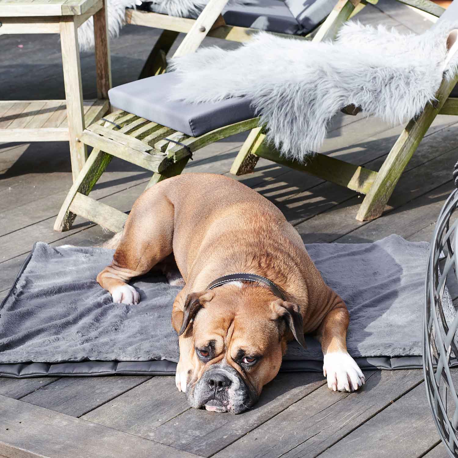 Reismat voor honden Travel Superior - Image 11