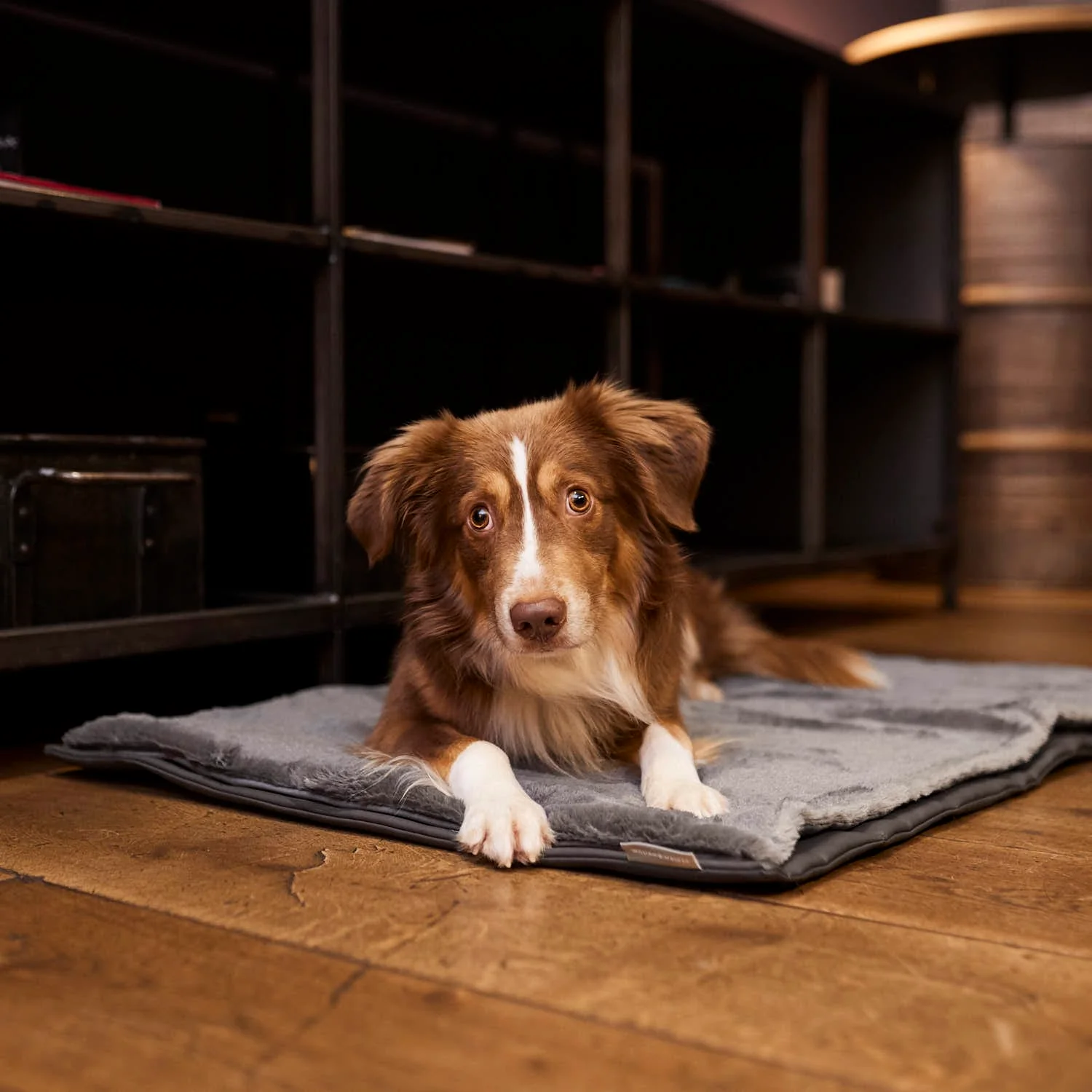 Reismat voor honden Travel Superior - Image 9