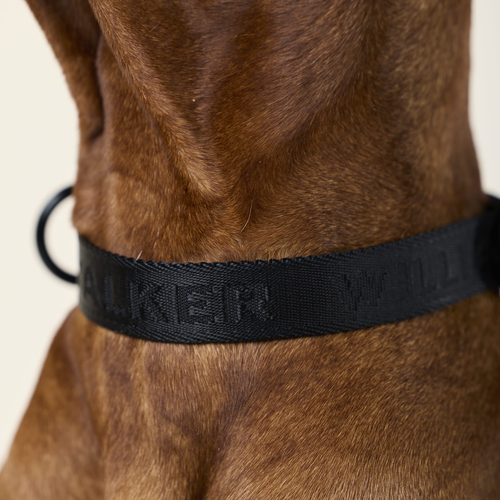 Jacquard Nylon halsband Nero (zwart) - Image 9
