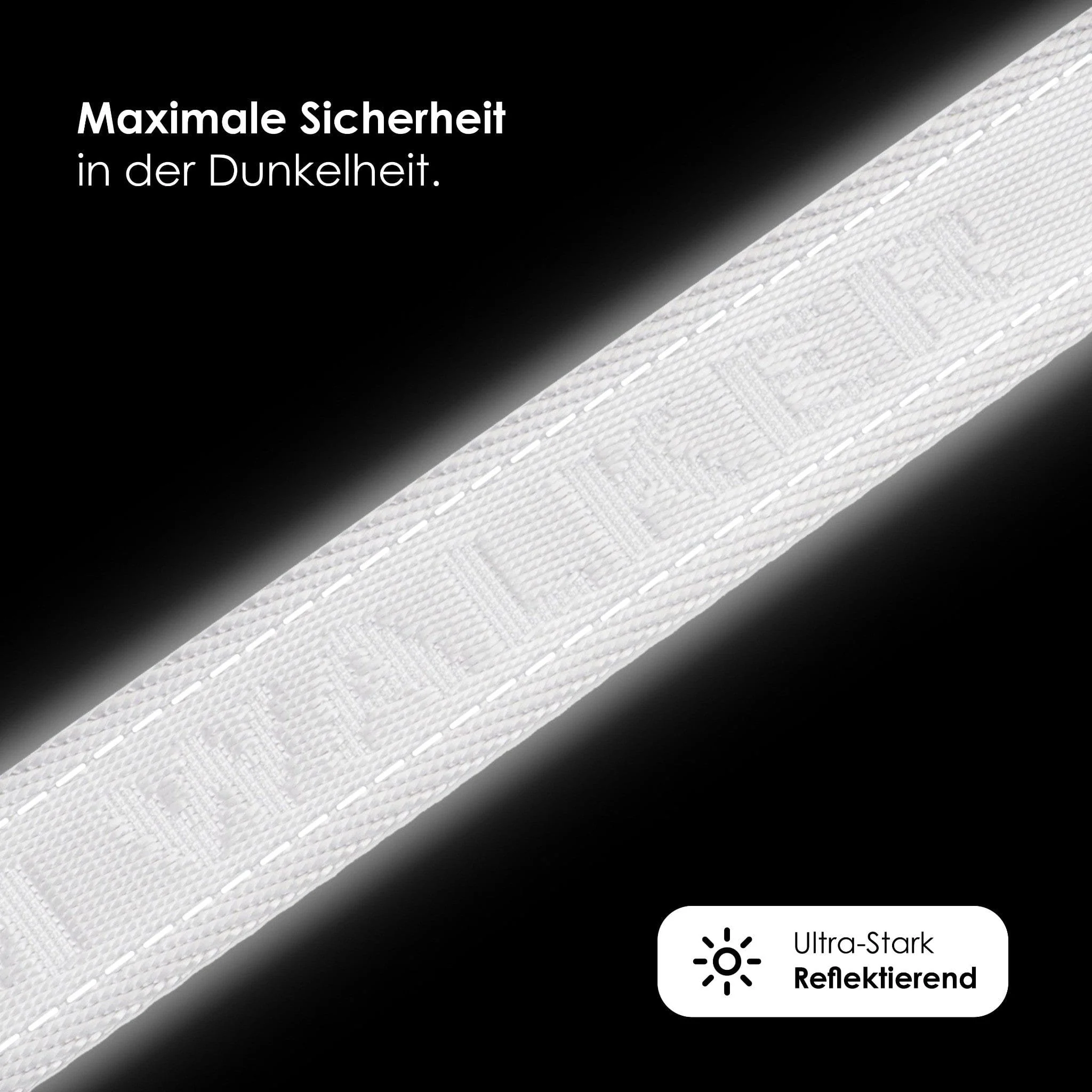 Jacquard Nylon hondenriem Lunar (Reflecterend) - Image 2