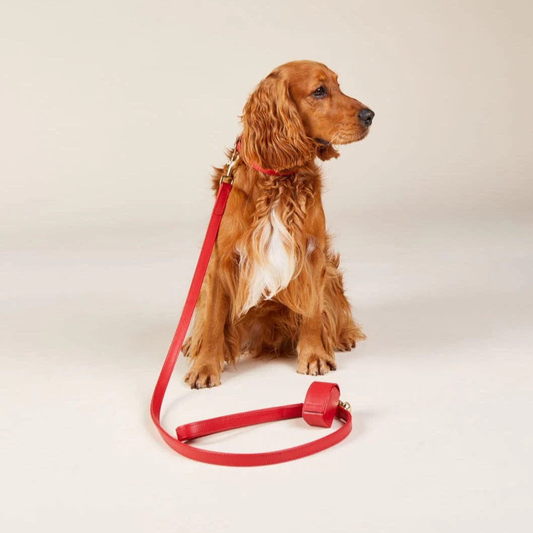 Hoogwaardige Leren Hondenriem Chili (Rood) - Image 17
