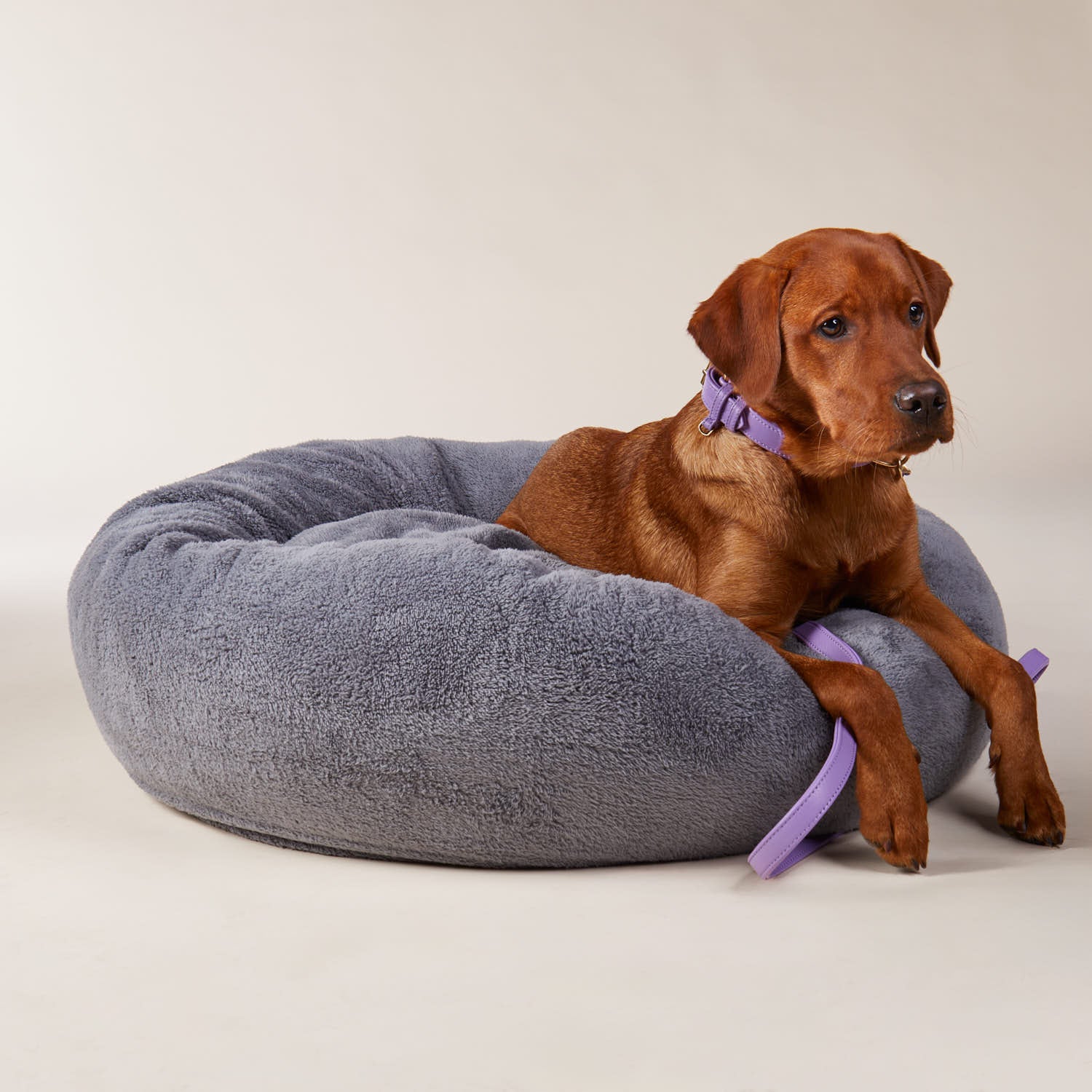 Gezellig hondenmand Comfy Cloud (Donkergrijs) - Image 10