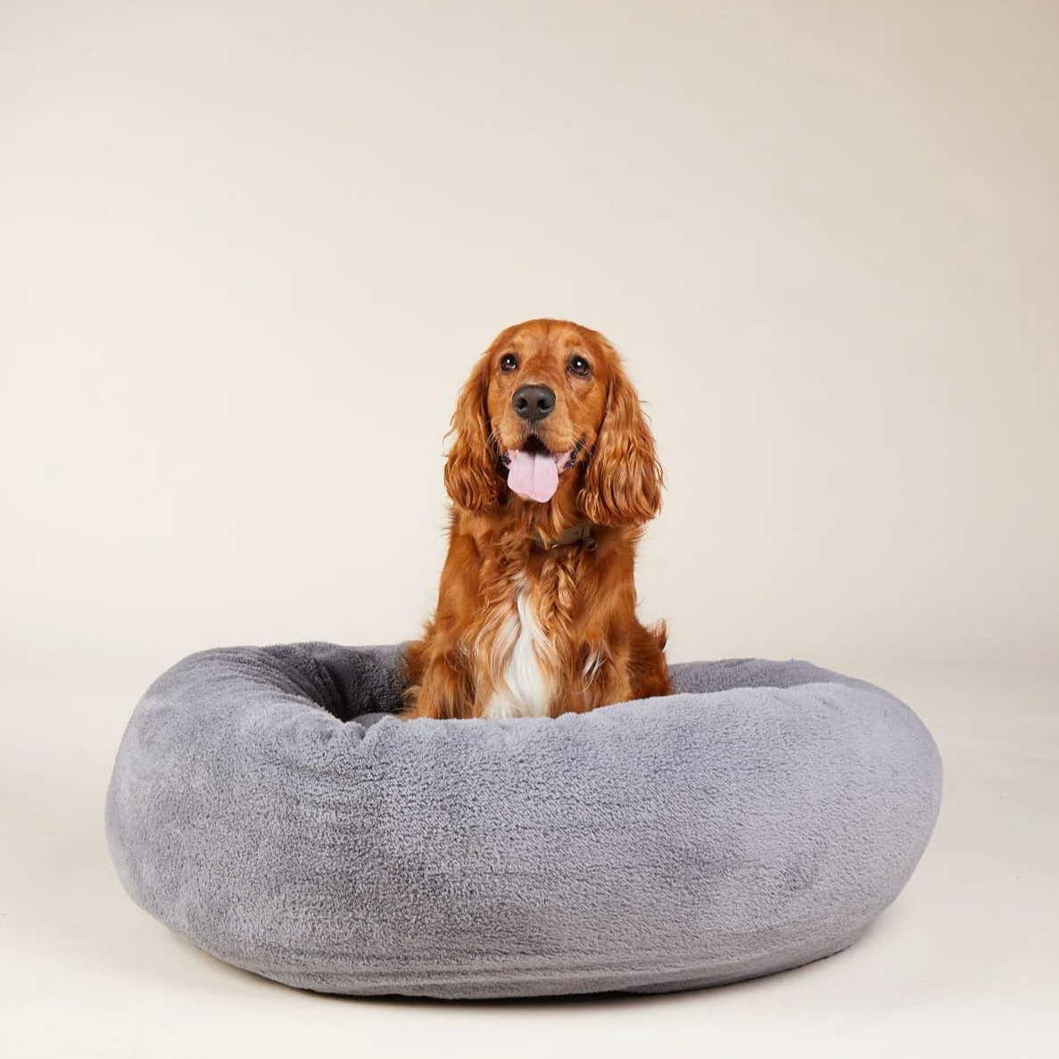 Gezellig hondenmand Comfy Cloud (Donkergrijs) - Image 6