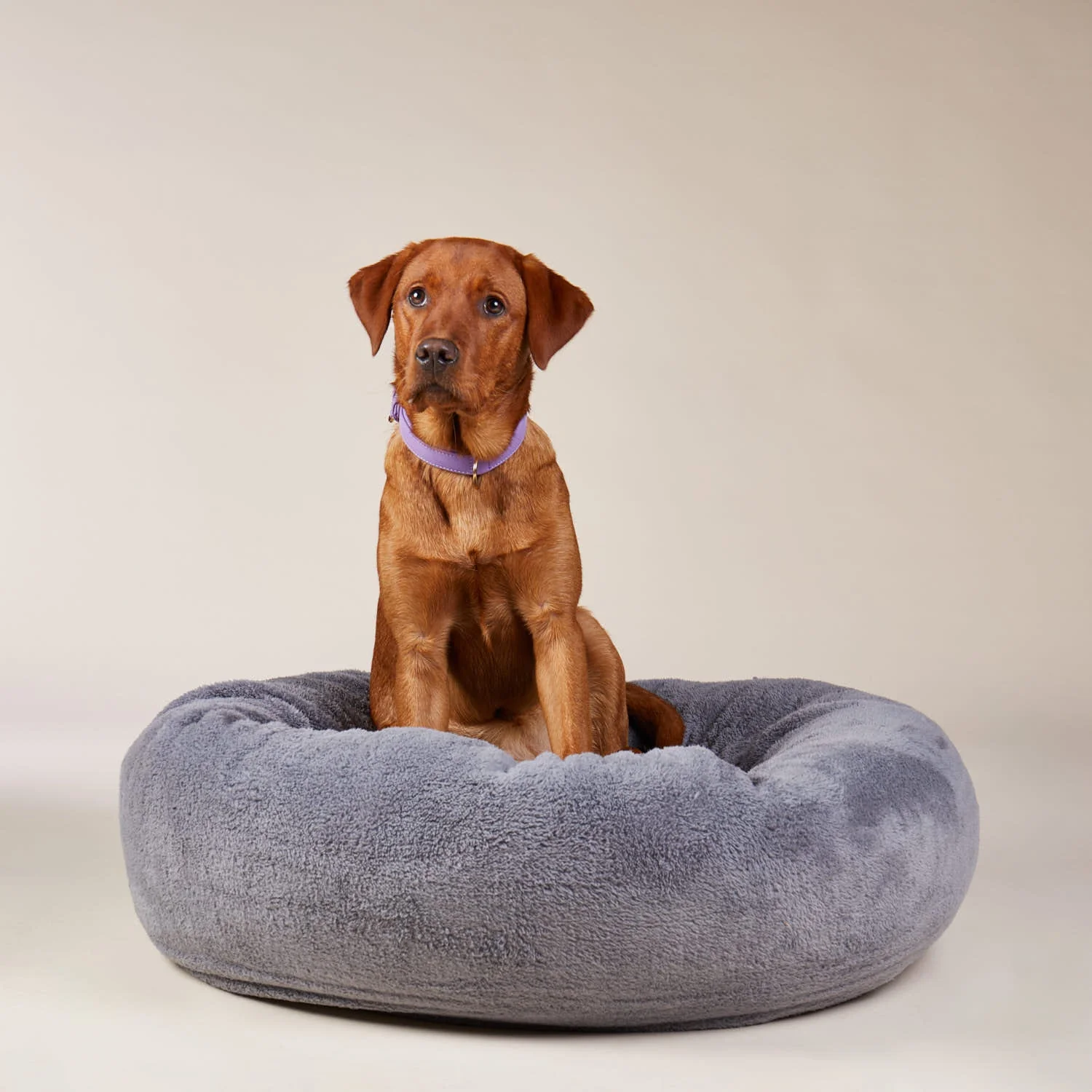 Gezellig hondenmand Comfy Cloud (Donkergrijs) - Image 9