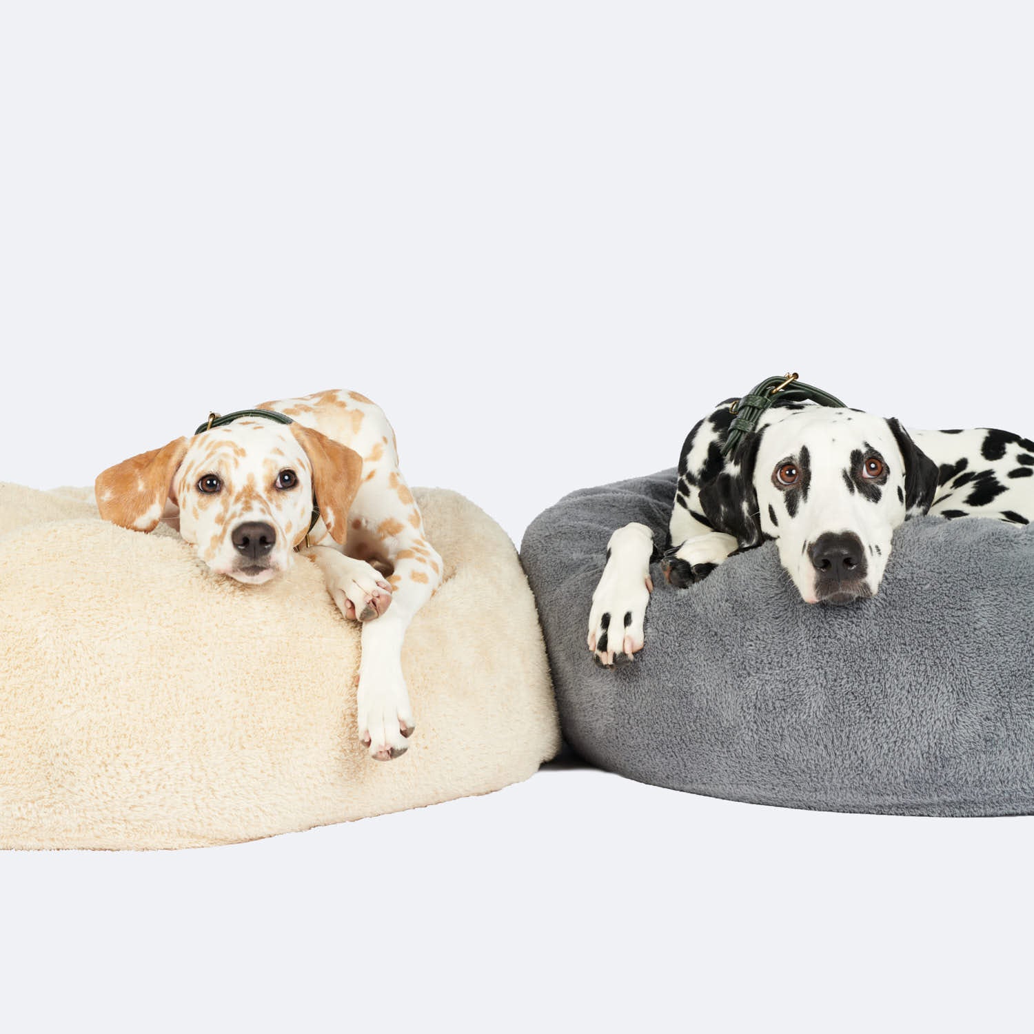 Gezellig hondenmand Comfy Cloud (Donkergrijs) - Image 11