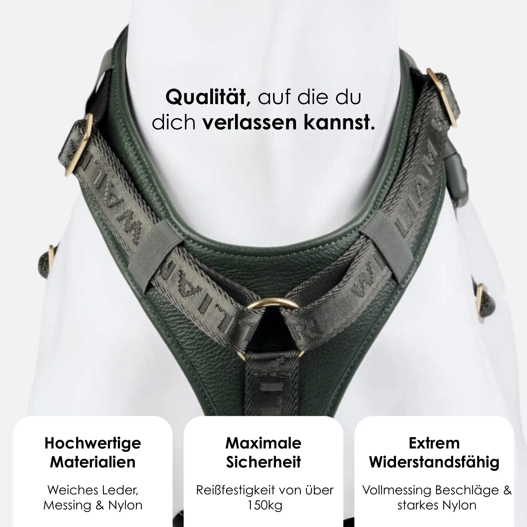 Hoogwaardig leren Y-tuig Plain - Image 18