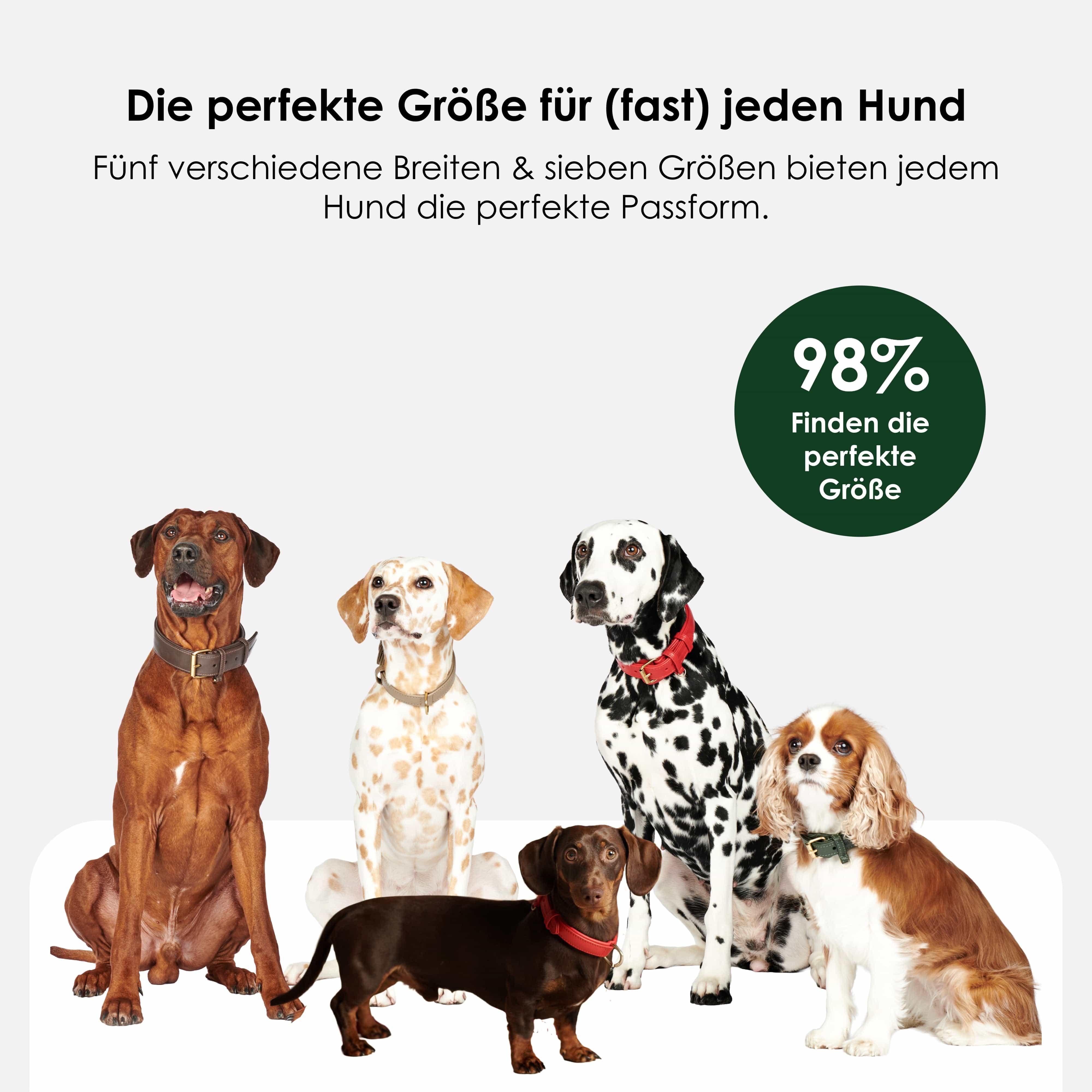 Leren halsband Earth (Bruin) - Image 5