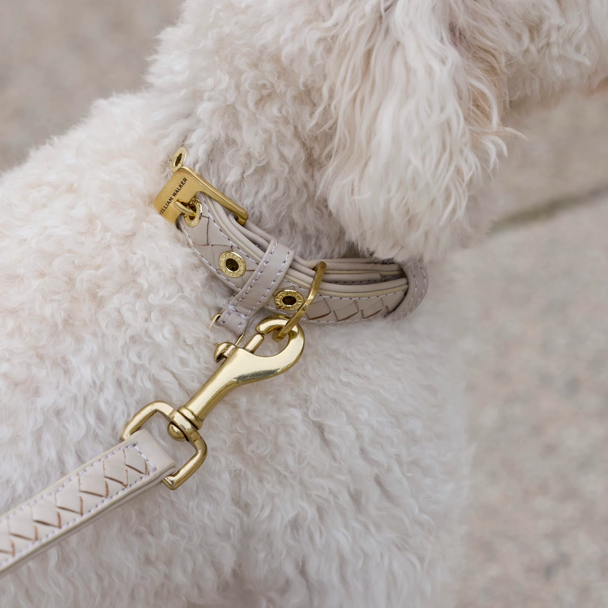 Leer halsband Prestige Almond (Beige) - Image 8