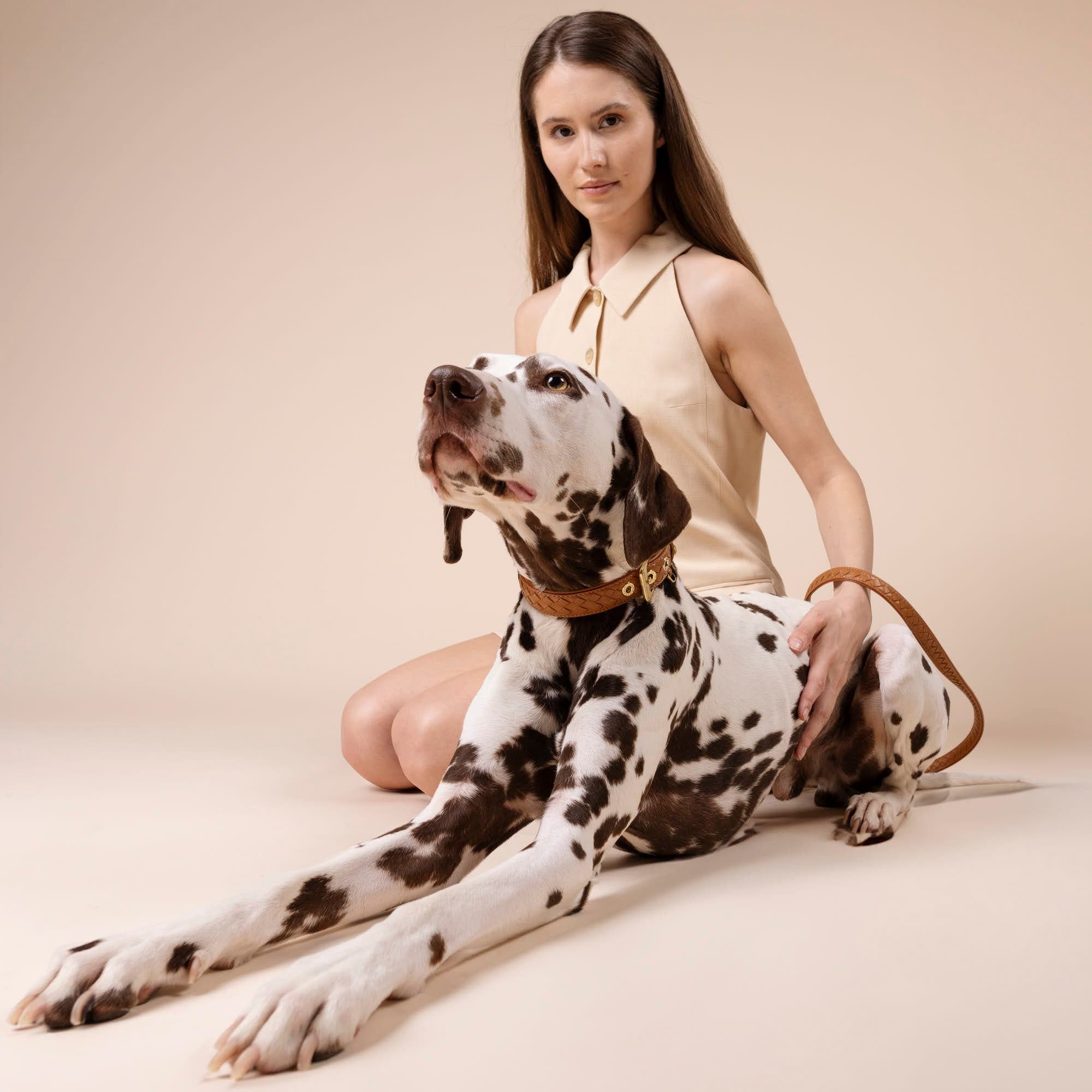 Leren halsband Prestige Caramel (bruin) - Image 12