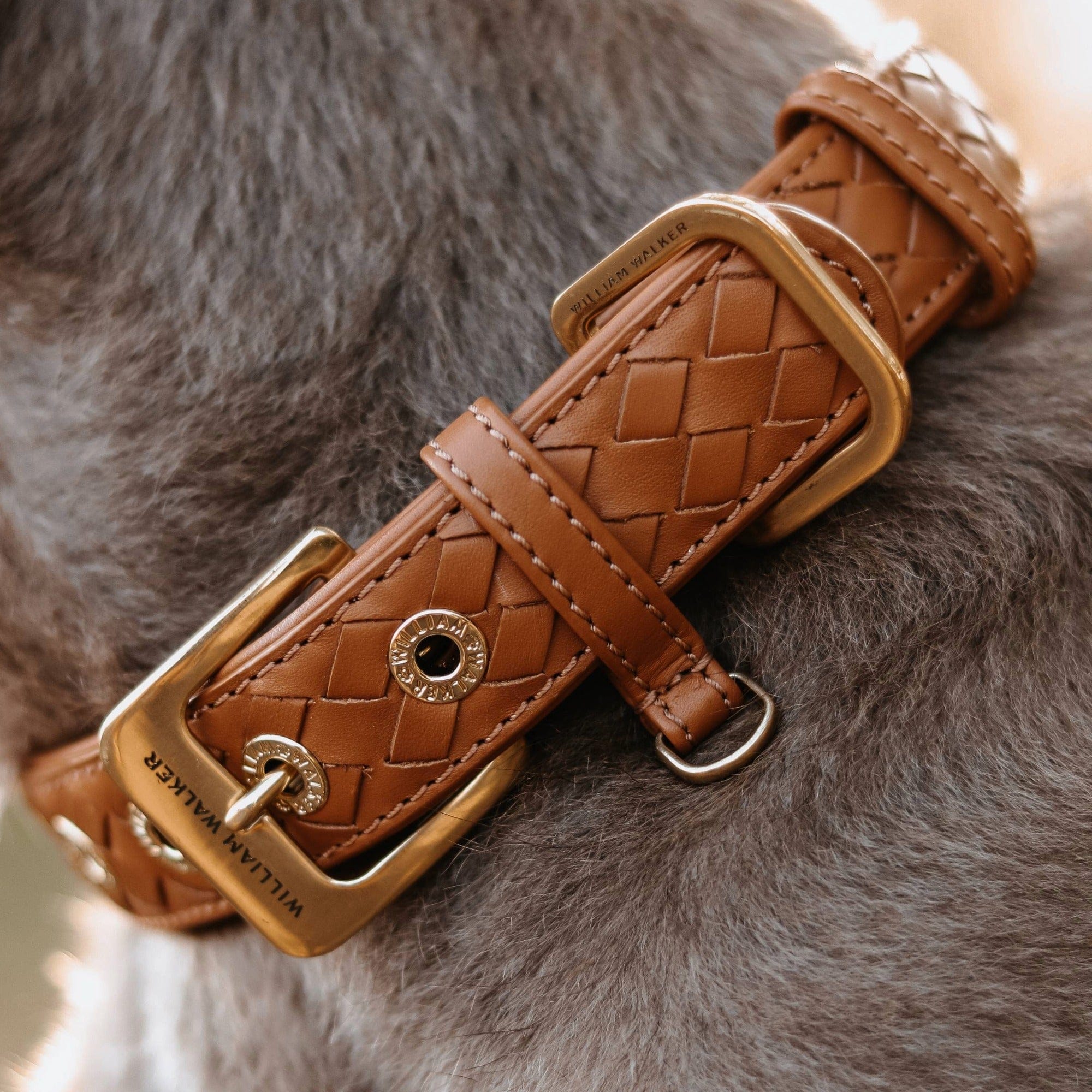Leren halsband Prestige Caramel (bruin) - Image 17
