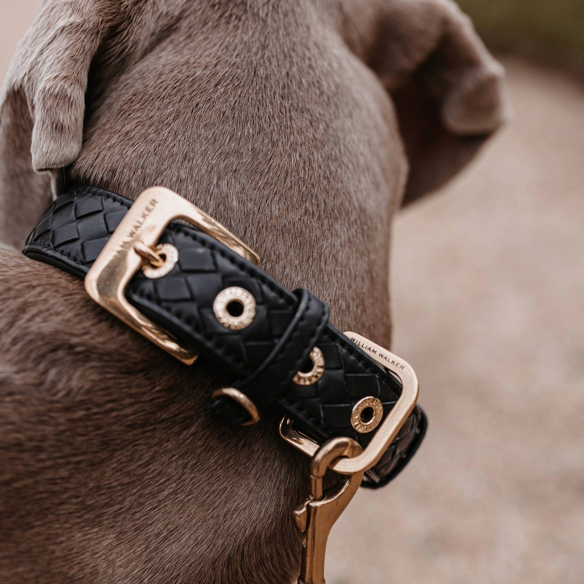 Leer halsband Prestige Nero (zwart) - Image 10