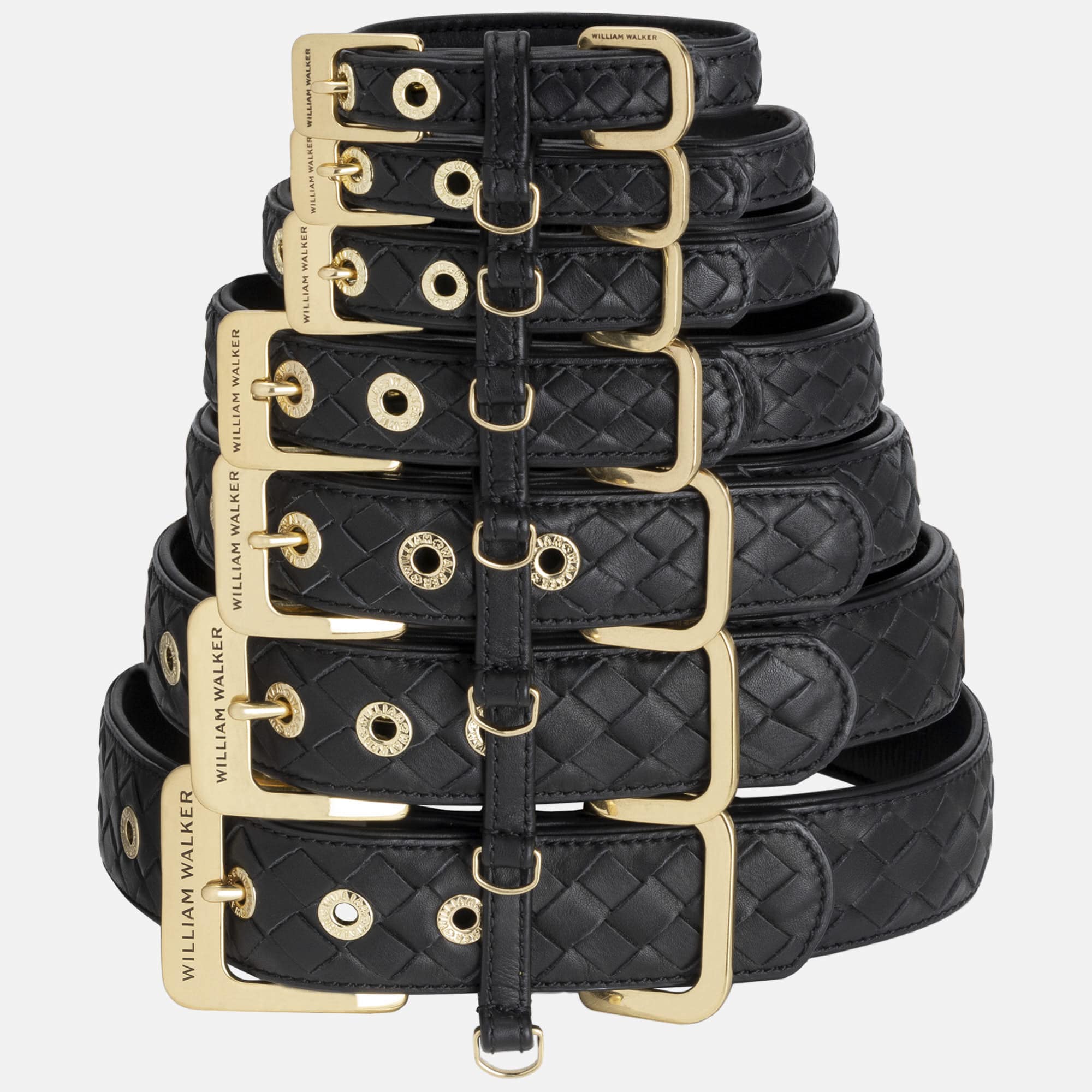 Leer halsband Prestige Nero (zwart) - Image 5