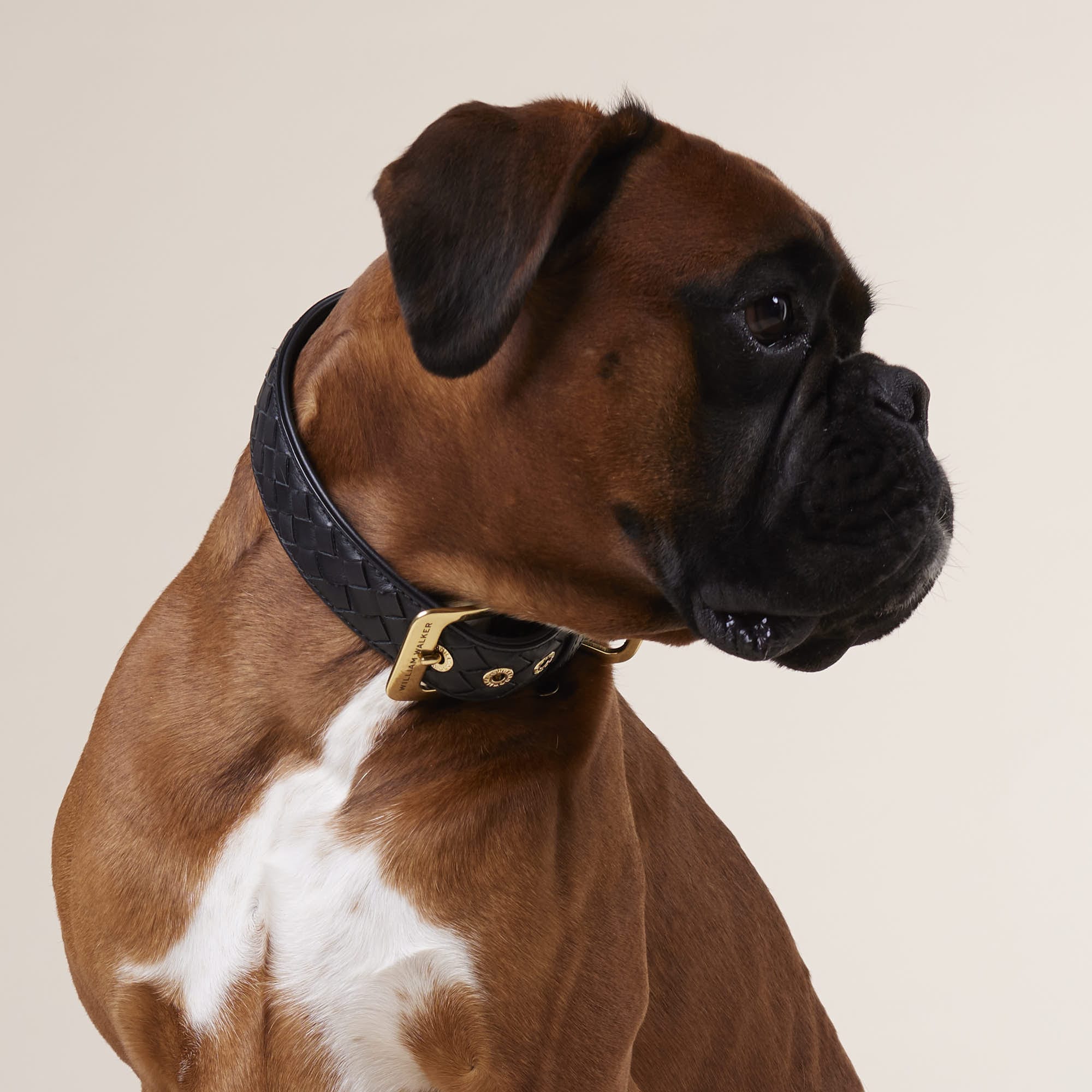 Leer halsband Prestige Nero (zwart) - Image 7