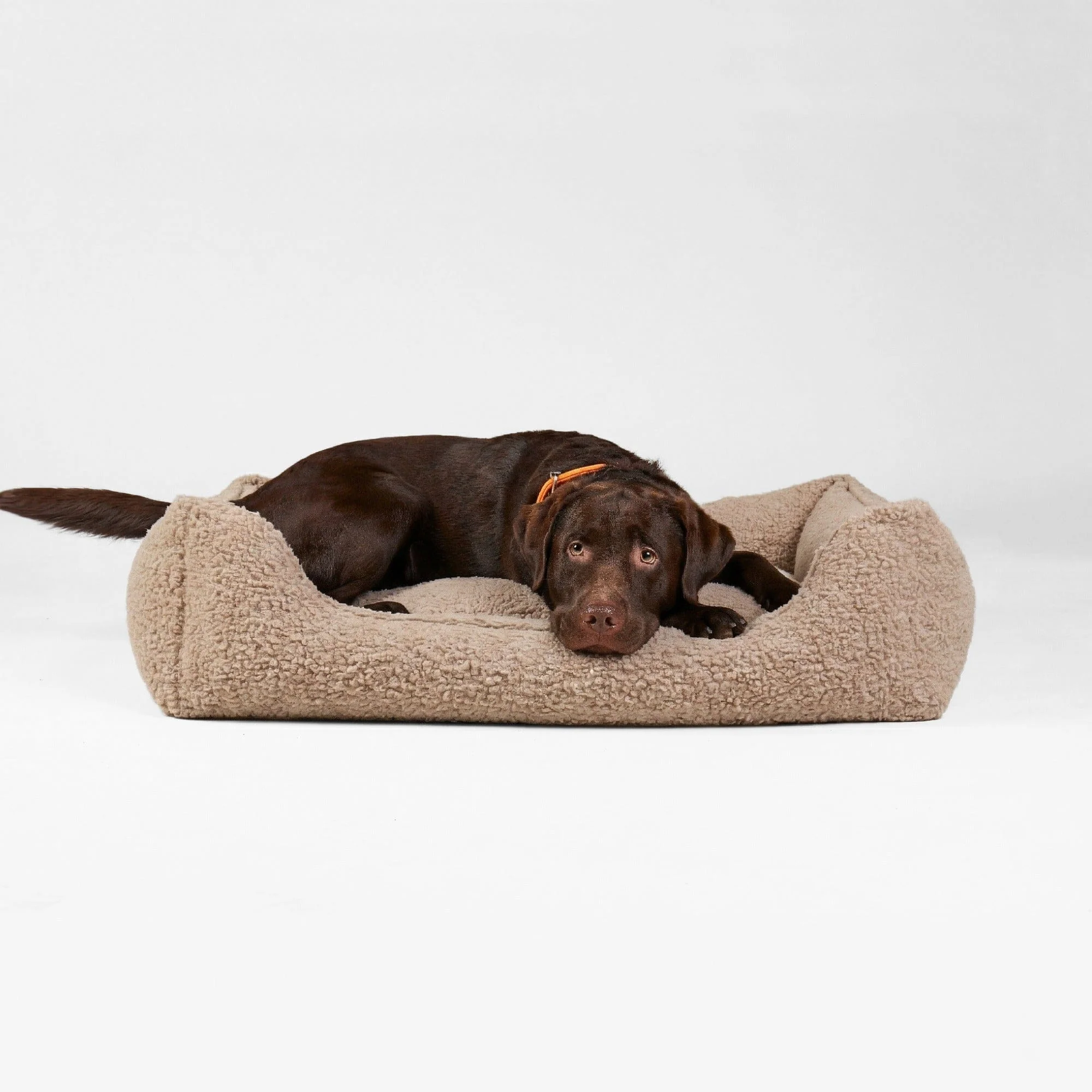 Orthopedisch hondenmand Cozy - Image 19