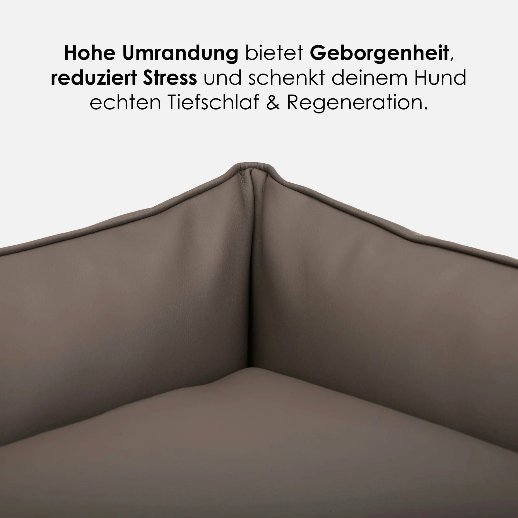 Orthopedisch hondenmand Easy - Image 14