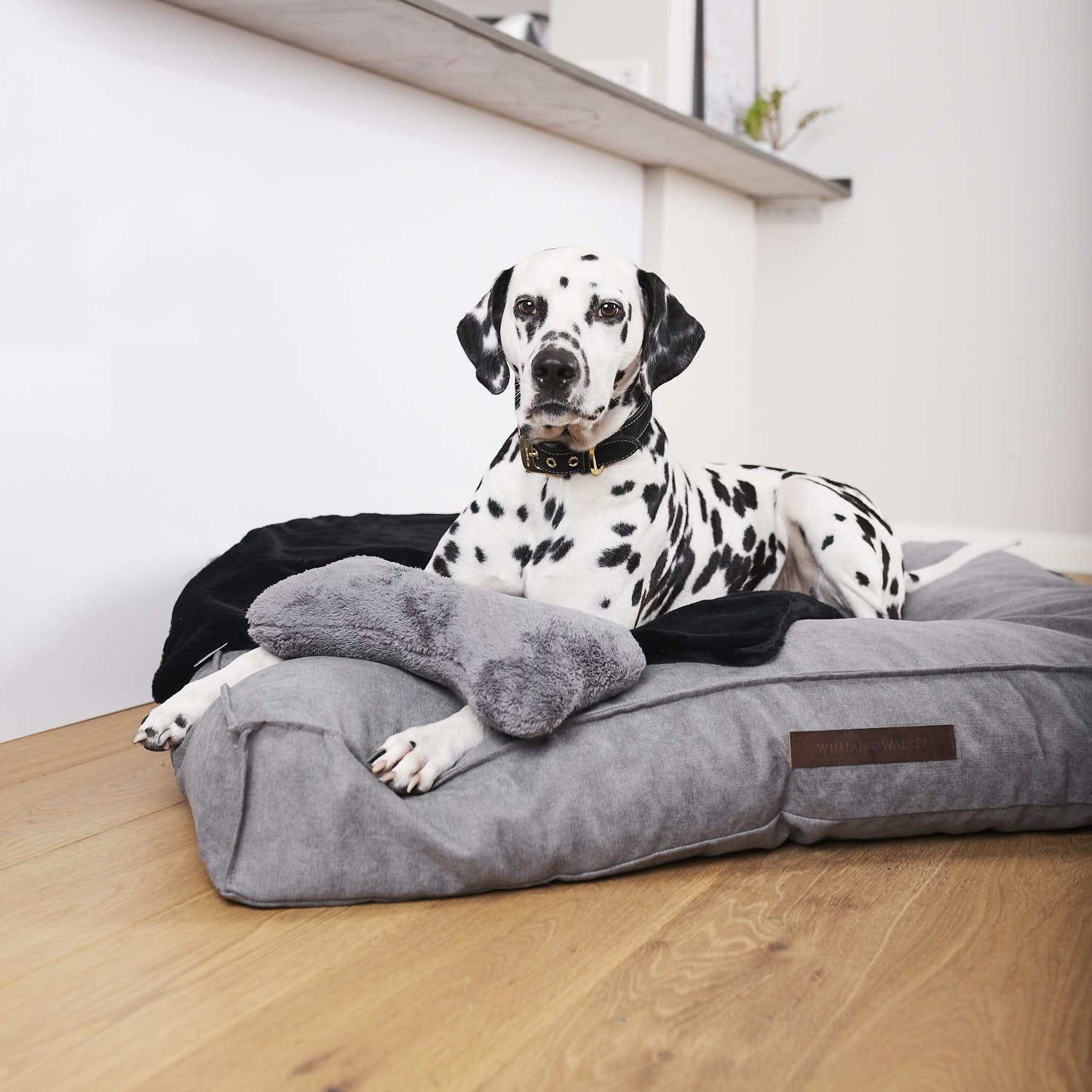 Orthopedisch hondenkussen Chill Gray (Grijs) - Image 7