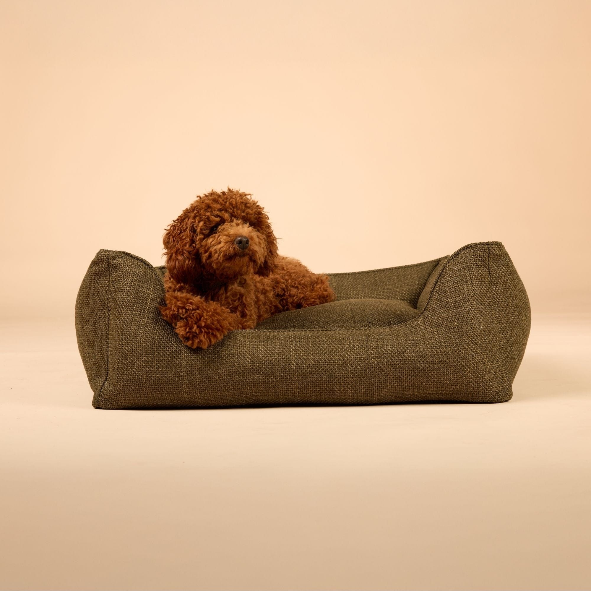 Orthopedisch hondenmand Luxe - Image 37