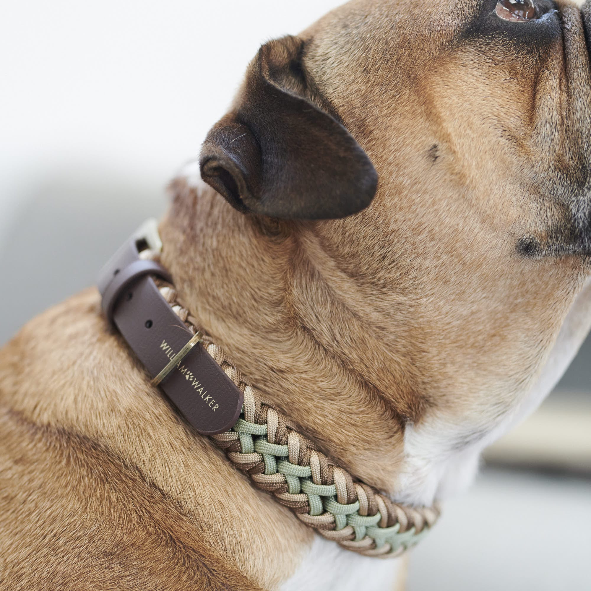 Paracord BioThane® halsband Shire - Image 16