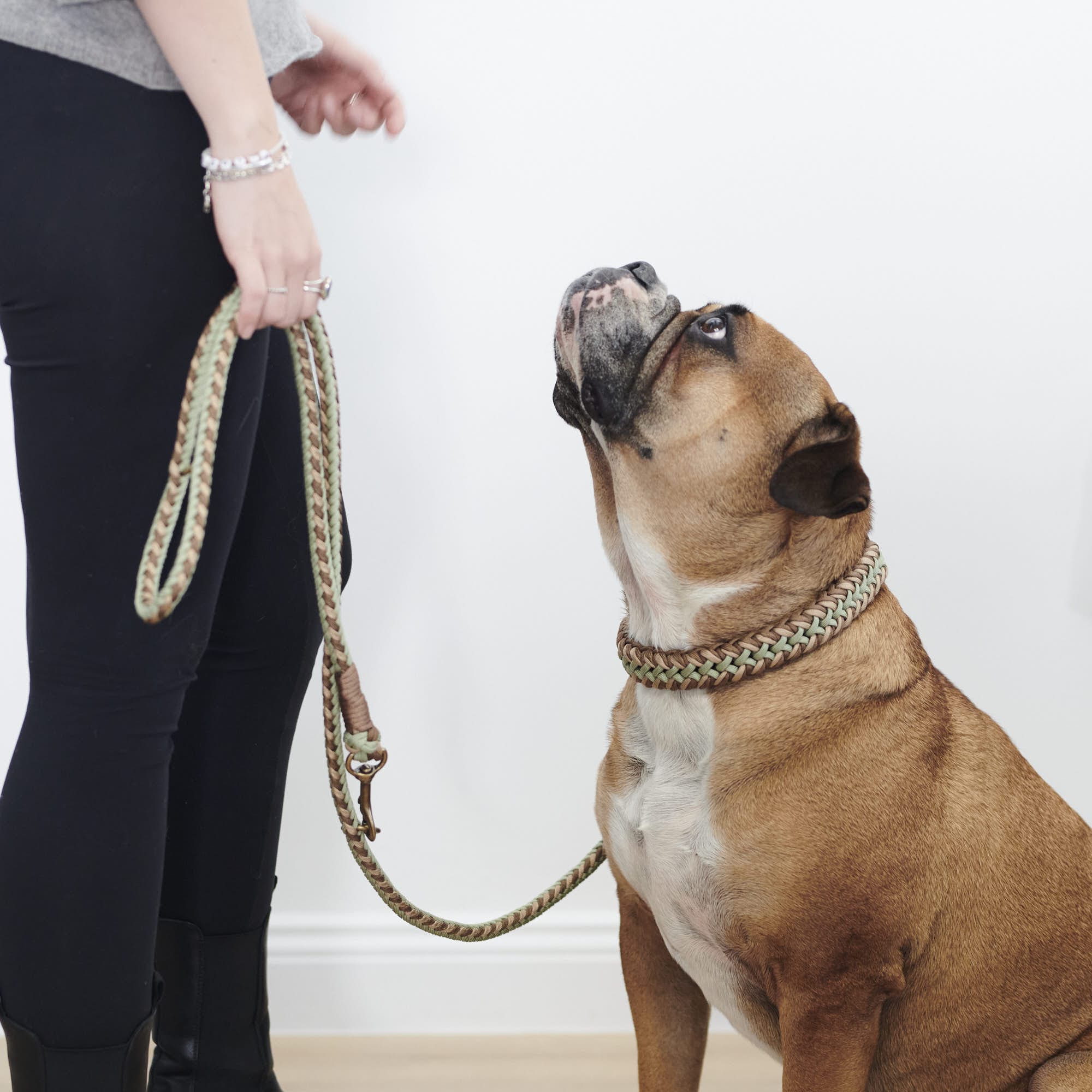 Paracord BioThane® halsband Shire - Image 9
