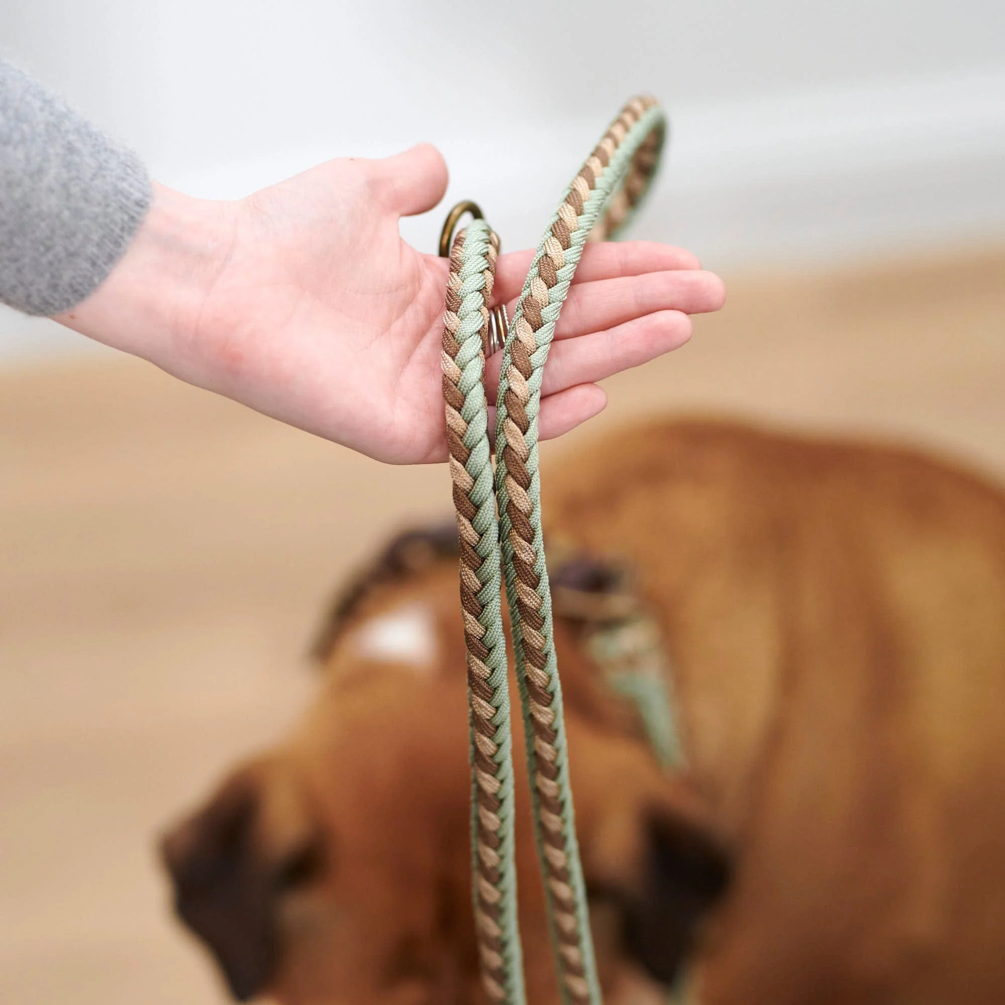 Paracord hondenriem Shire - Image 13