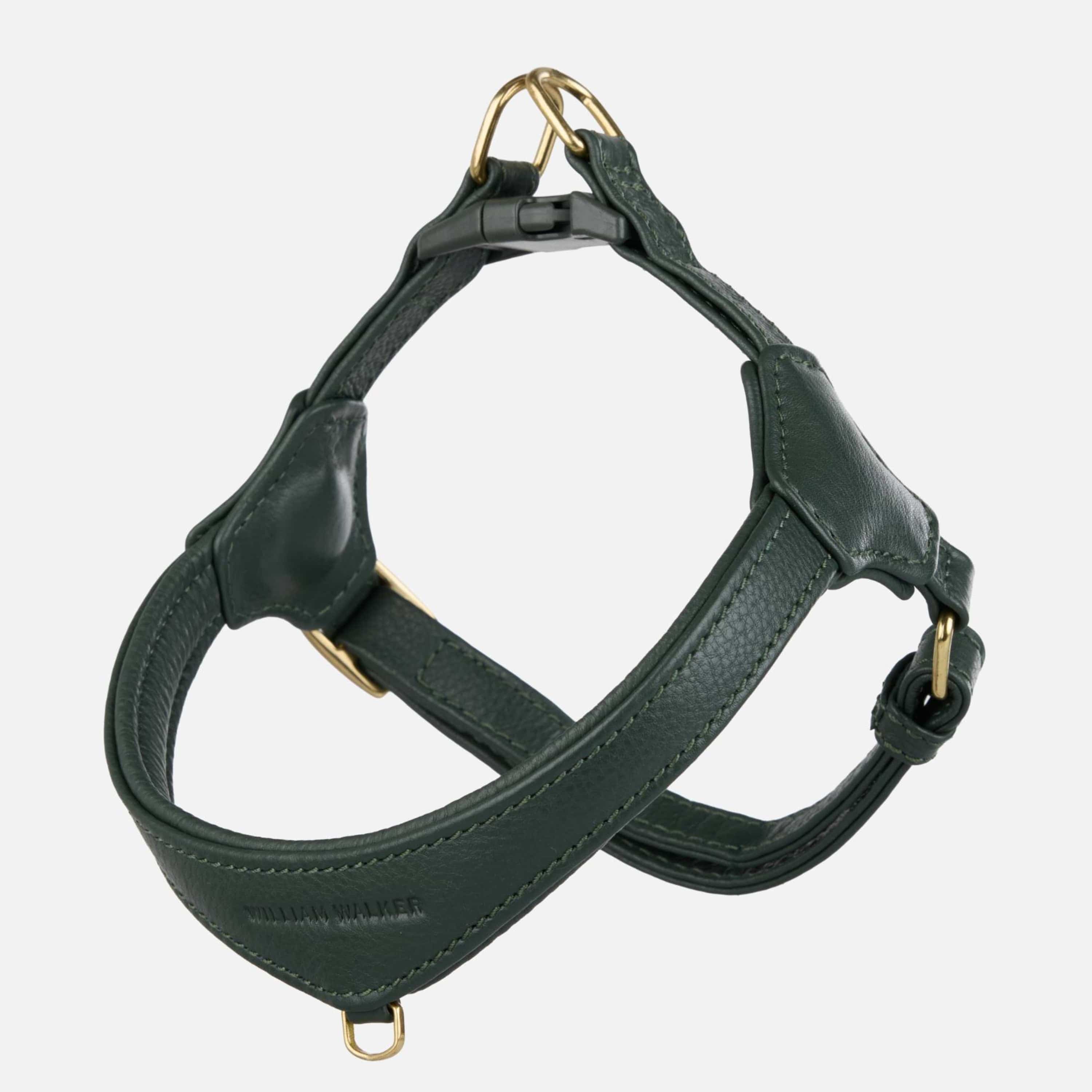 Step-In Leren Hondentuig Pico voor Kleine Honden - Image 13